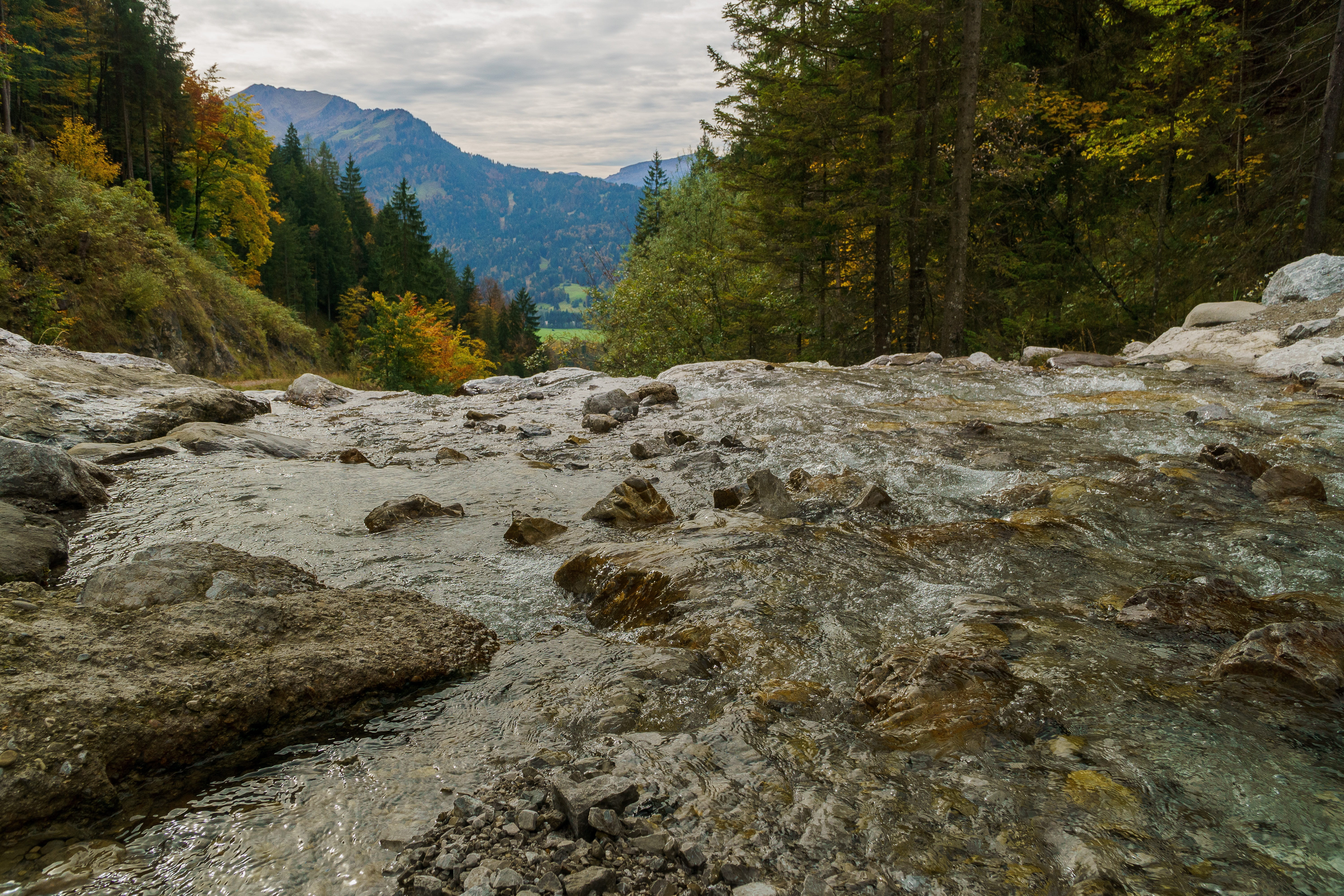 cold, eyeview, water, tree, rock, drop of water, plant, waterfall, s, wrinkle bach, liquid, mountain, scenic, flowing water, no people, outdoors, creek, HD Wallpaper