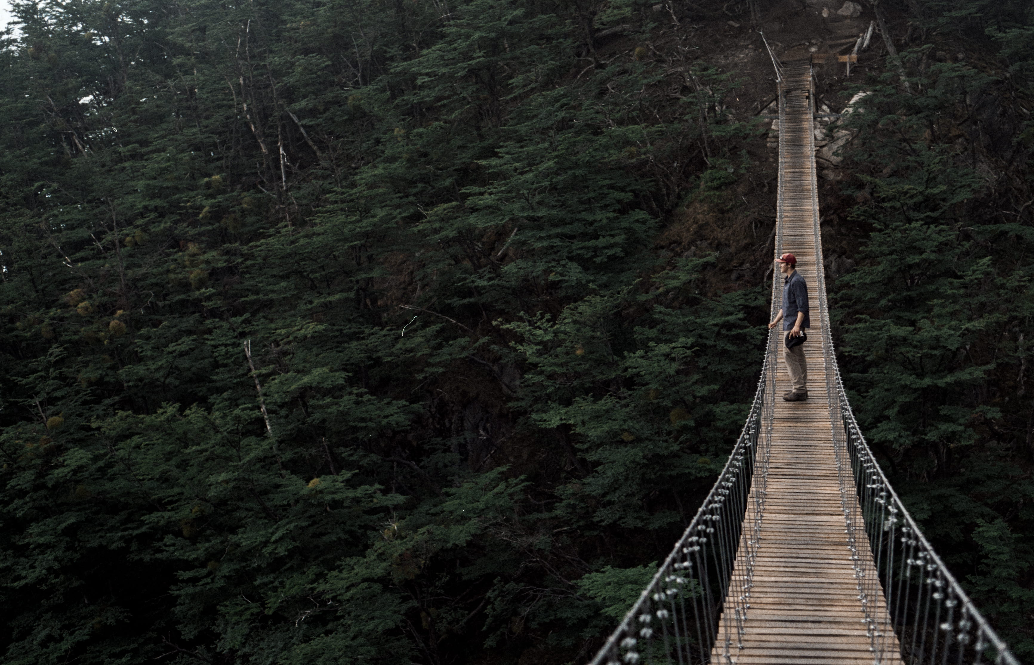 2K, tree, daytime, adventure, shirt, lifestyles, built structure, trees, the way forward, bridge, forest, man, full length, surrounded, outdoor, one person, HD Wallpaper