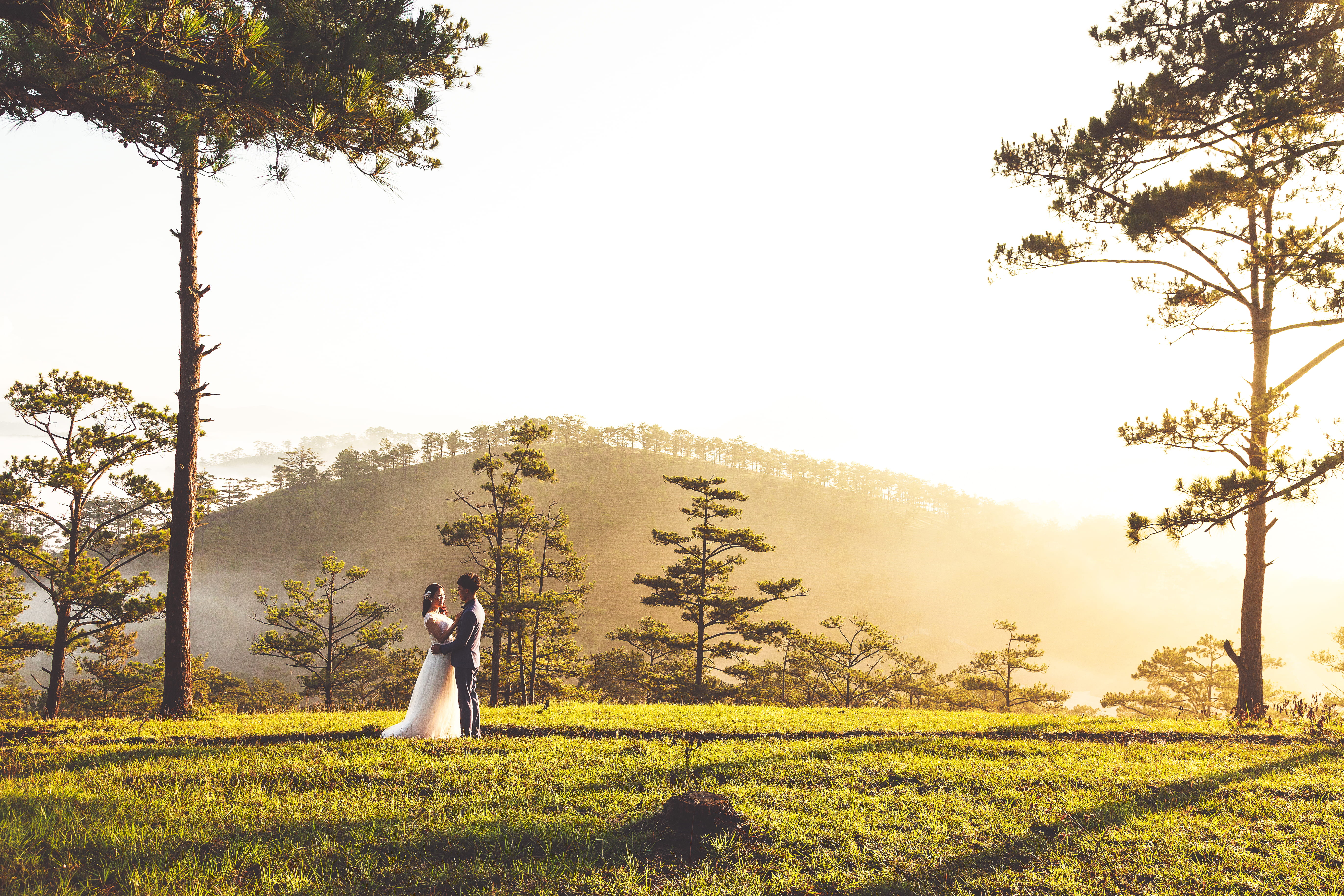 tree, full length, bride, trees, man, fashion, women, adult, cuddling, young adult, vietnam, clothing, beauty in nature, groomsman, one person, woman, landscape, HD Wallpaper