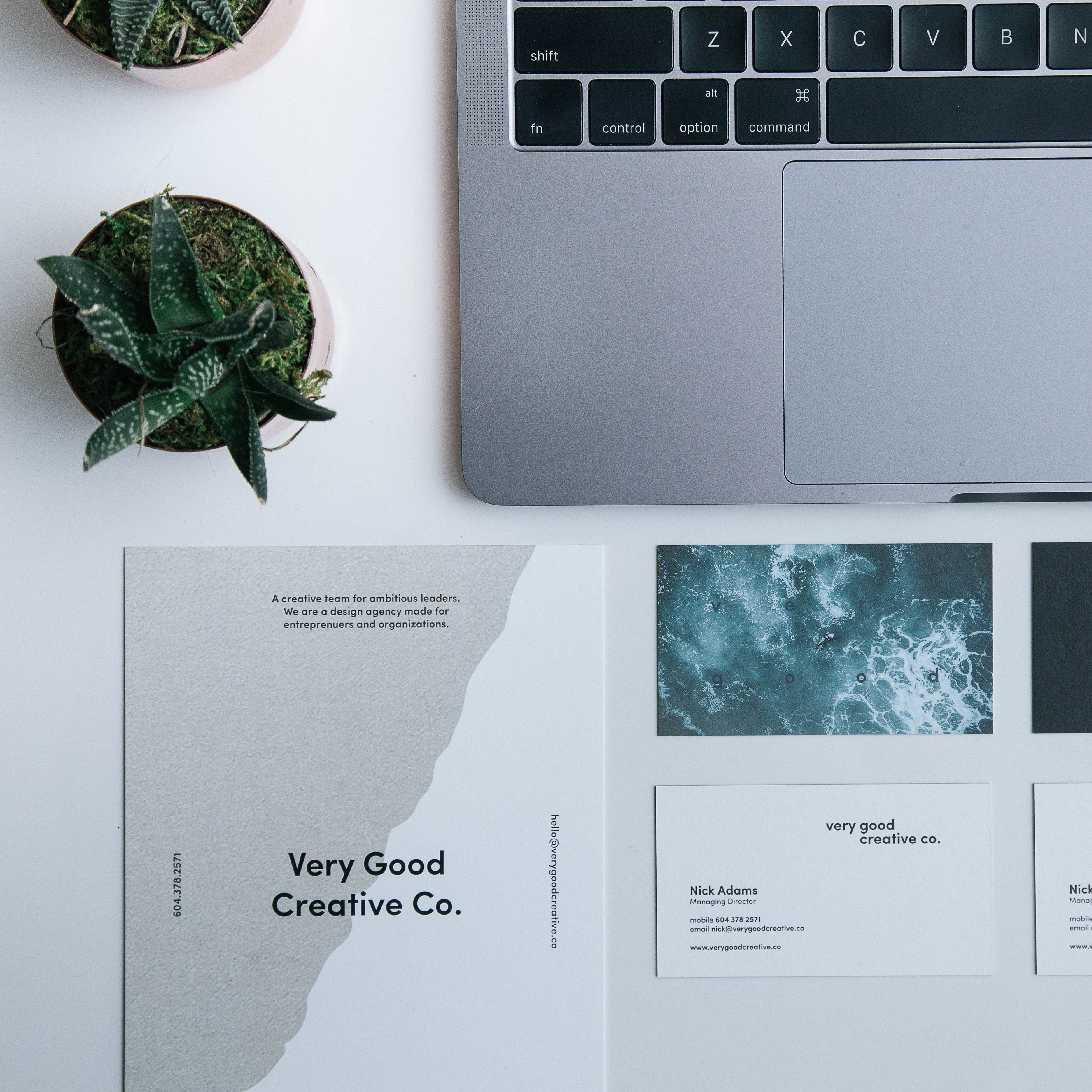 keyboard, green, apple, laptop, computer, table, directly above, good, western script, beside, succulent, no people, flyer, plant, pro, technology, gray, Phone HD Wallpaper