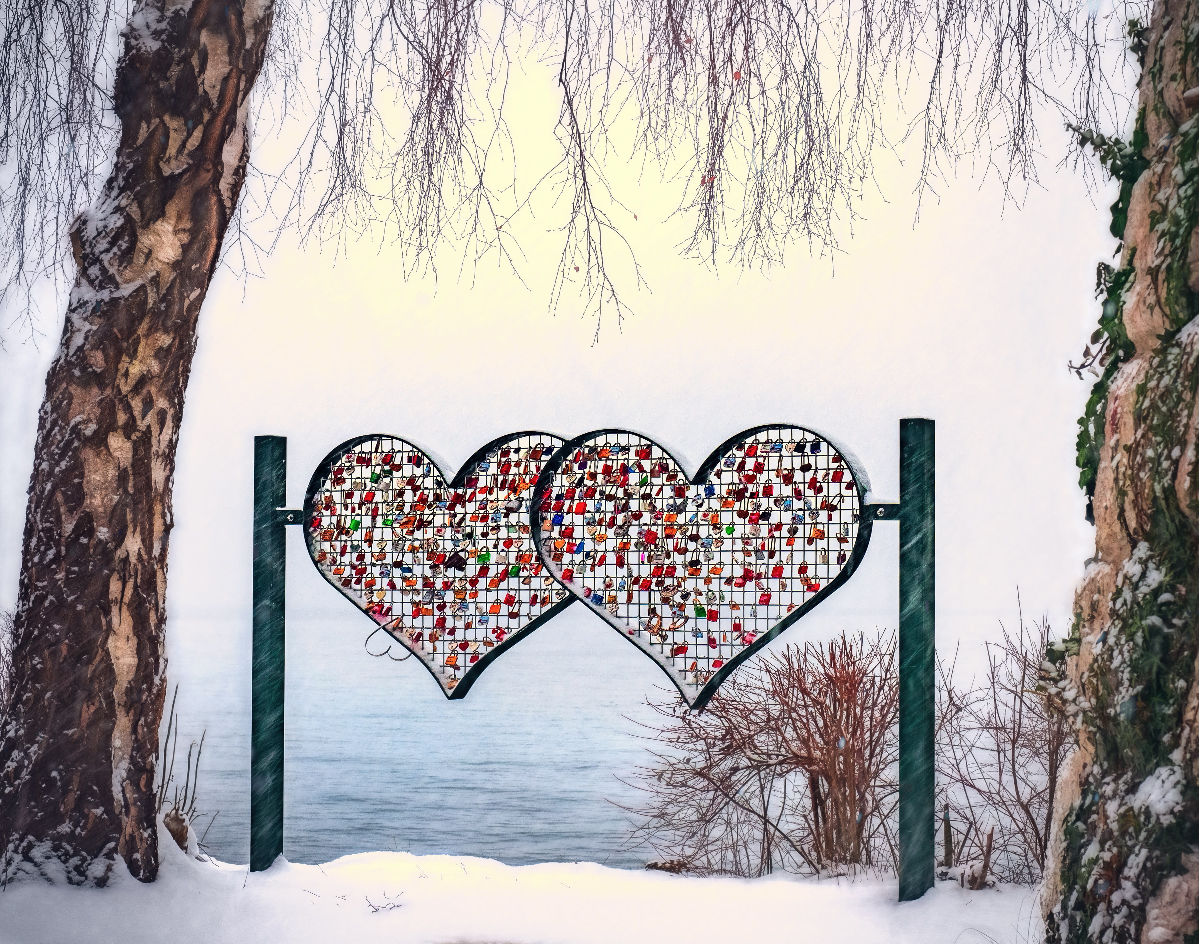 tree trunk, frosty, plant, romantic, ice, atmosphere, romance, sky, stand, bare tree, gorgeous, valentines day, in love, couple, covering, snow, shape, HD Wallpaper