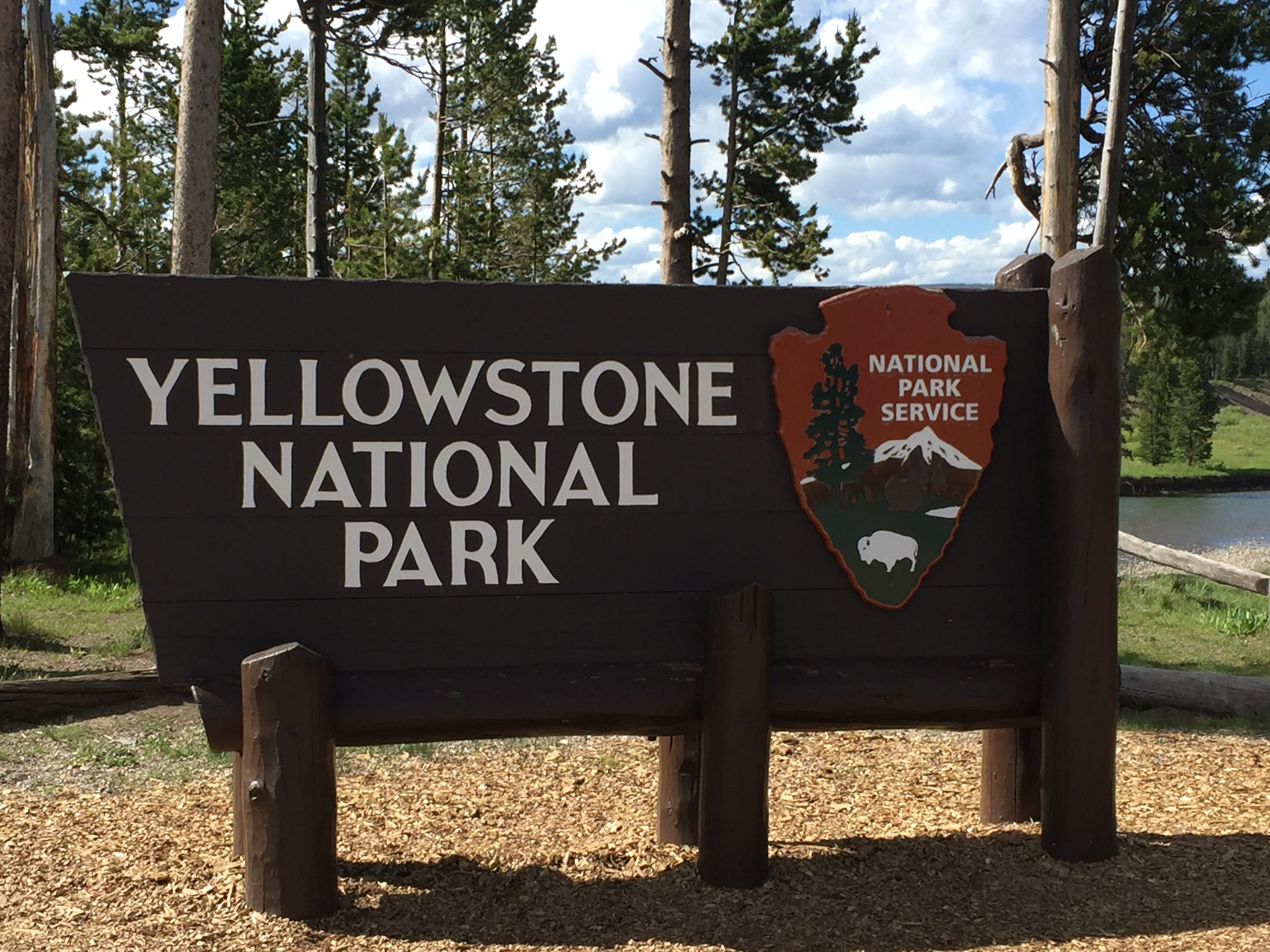 communication, capital letter, Sign, information, information sign, tree, message, no people, sunlight, 2K, text, national, yellowstone, nature, day, park - man made space, HD Wallpaper