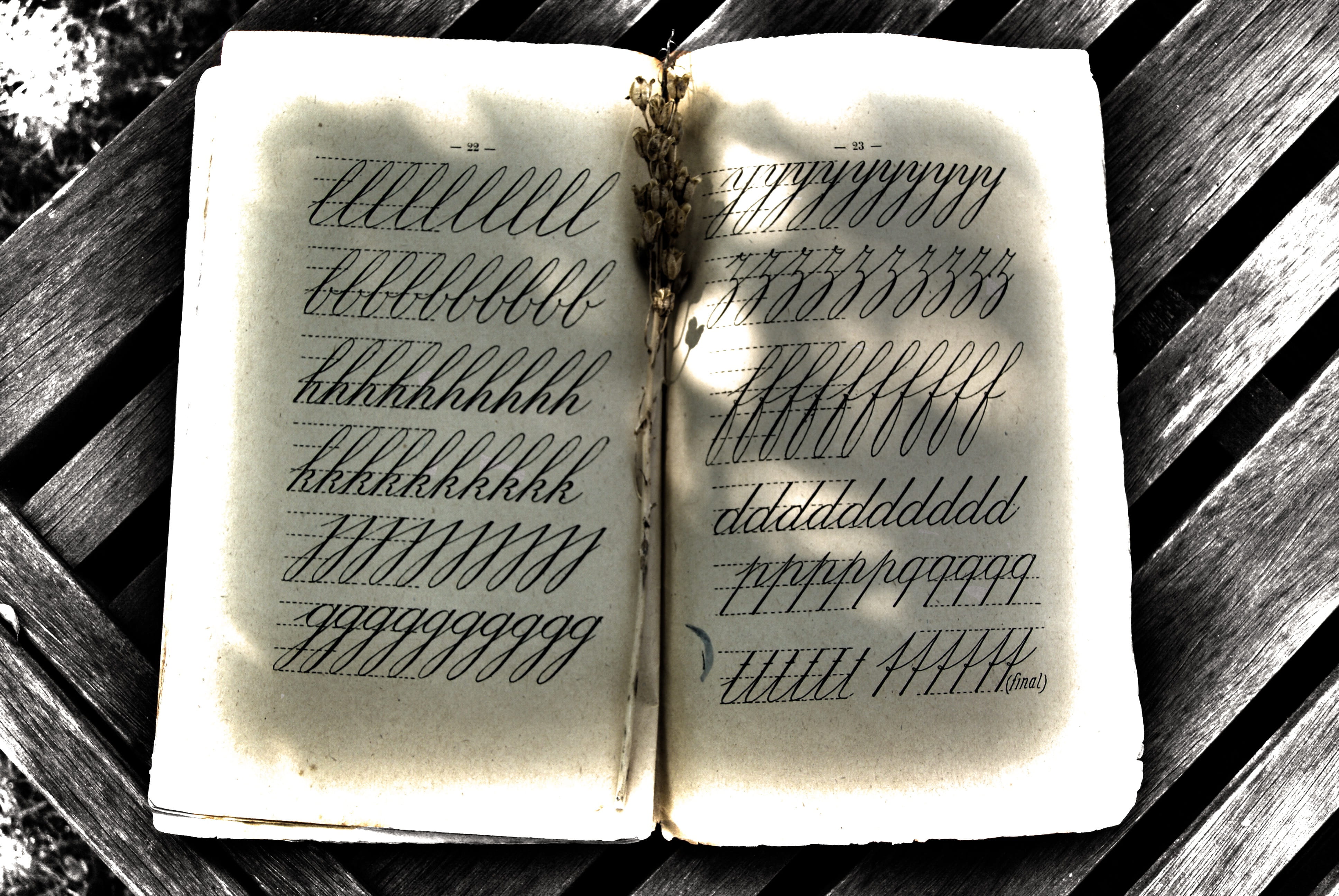 Writing, table, indoors, no people, wood - material, Old Book, book, western script, communication, cursive, religion, 4K, education, publication, close-up, HD Wallpaper