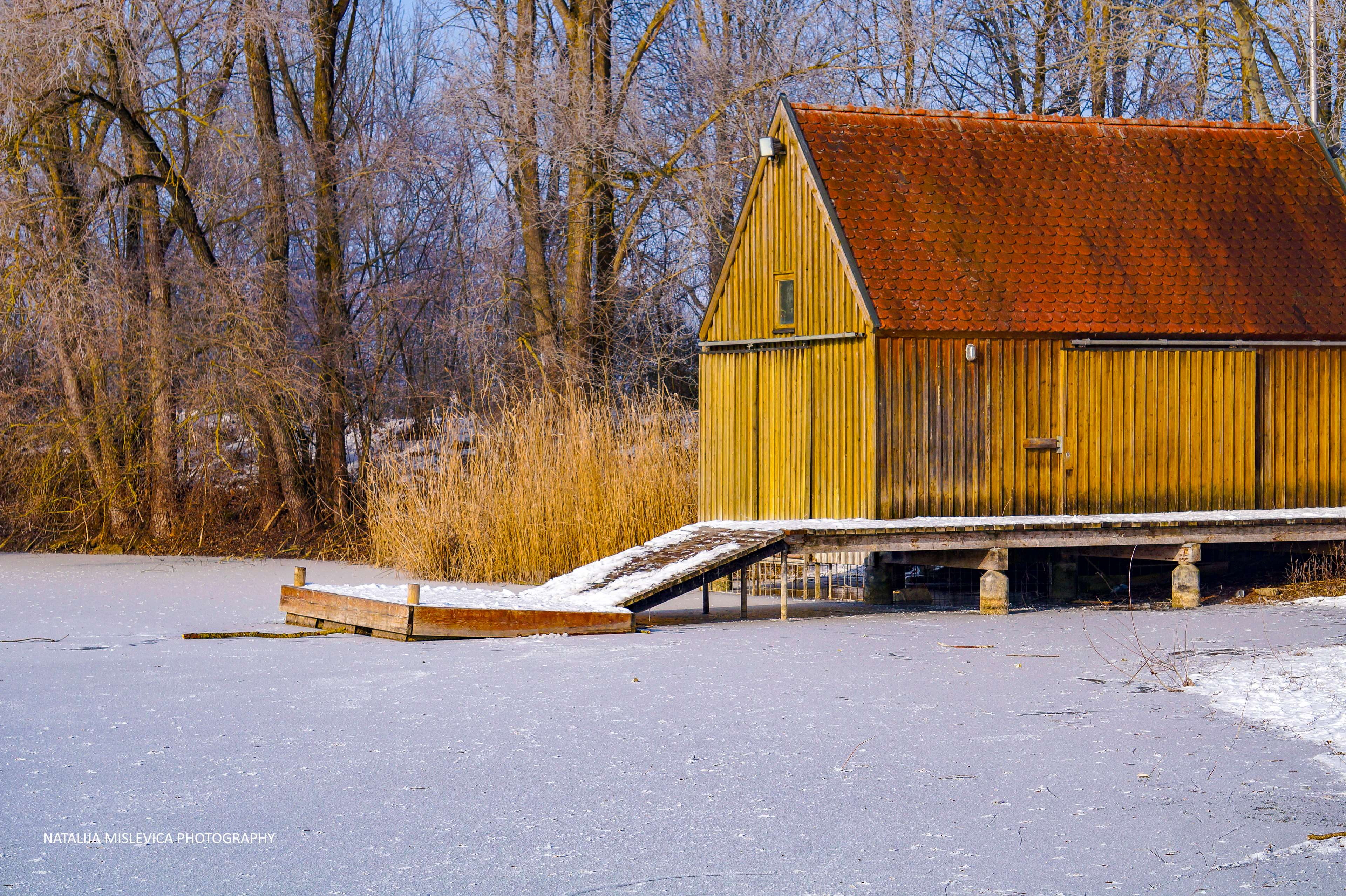 plant, no people, land, snow, wood - material, frozen, winter, nature, 4K, day, this rescue station will soon come to life, building exterior, architecture, HD Wallpaper