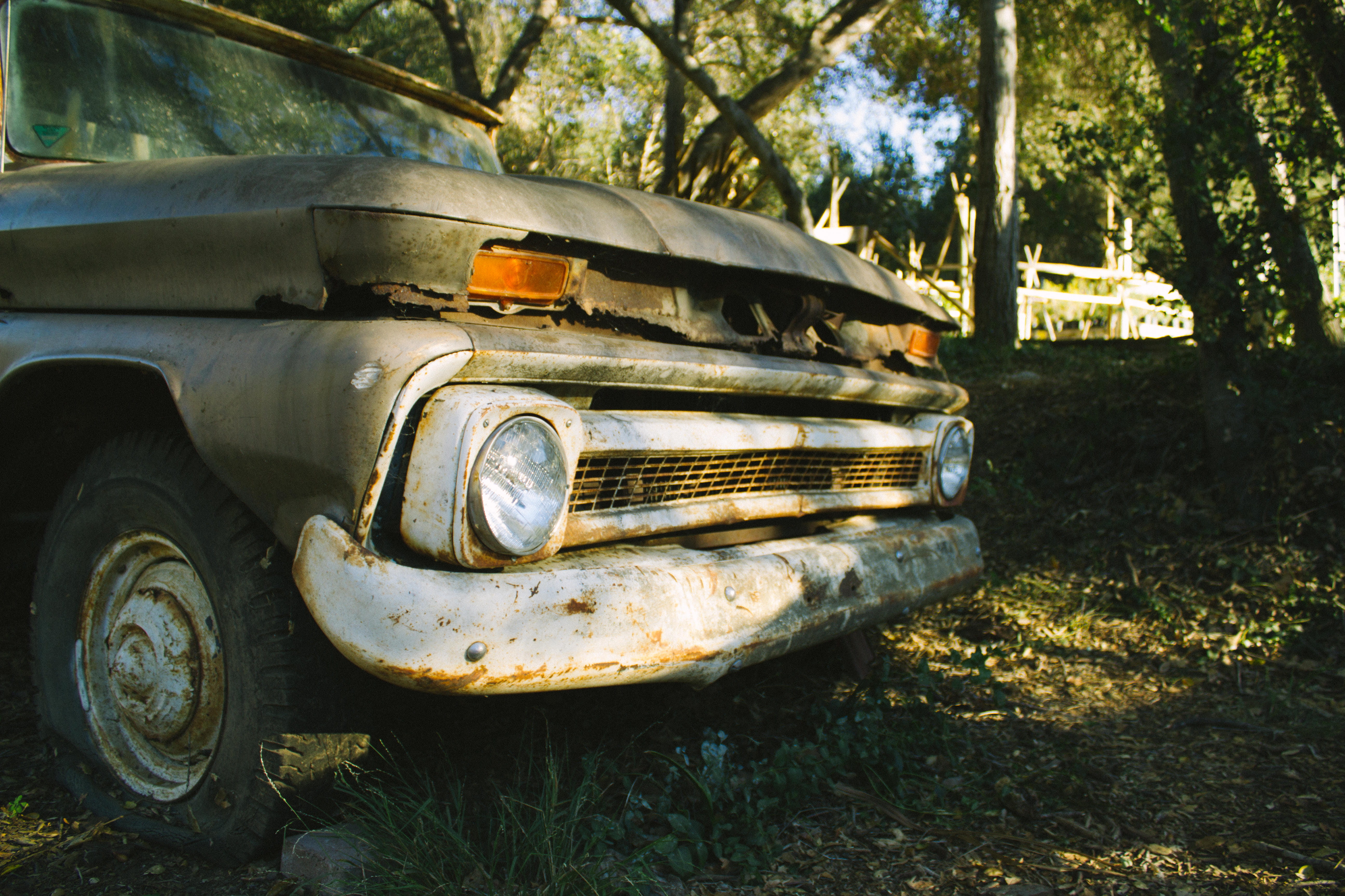 obsolete, tree, united states, field, transportation, plant, retro, fallbrook, old truck, trees, nature, truck, vintage, hidden, land, wheel, chevy truck, HD Wallpaper