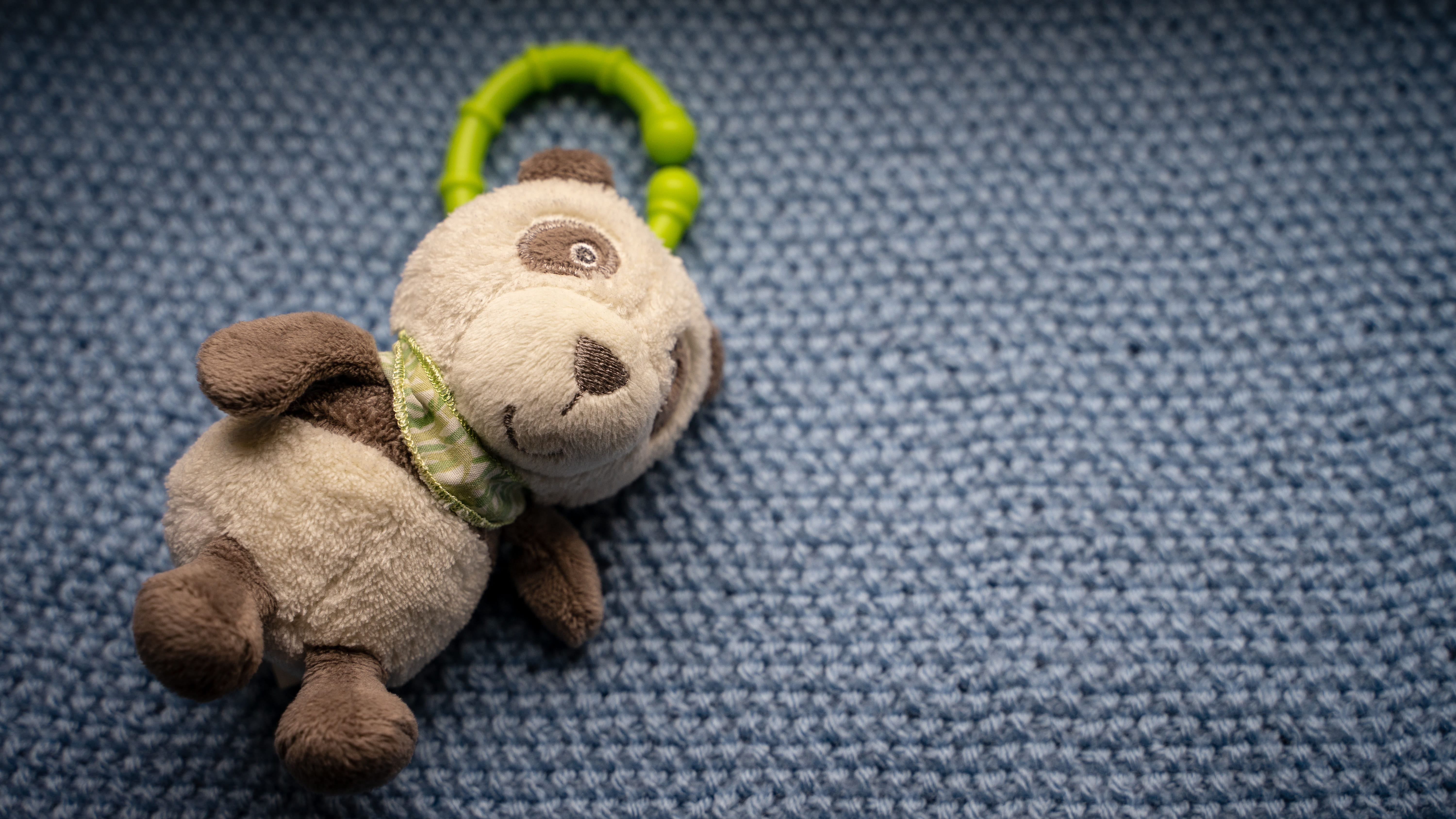 filled, teddy bear, no people, play, bear, representation, small, softness, childrens room, mammal, toy background, animal themes, close-up, toy, toy animal, HD Wallpaper