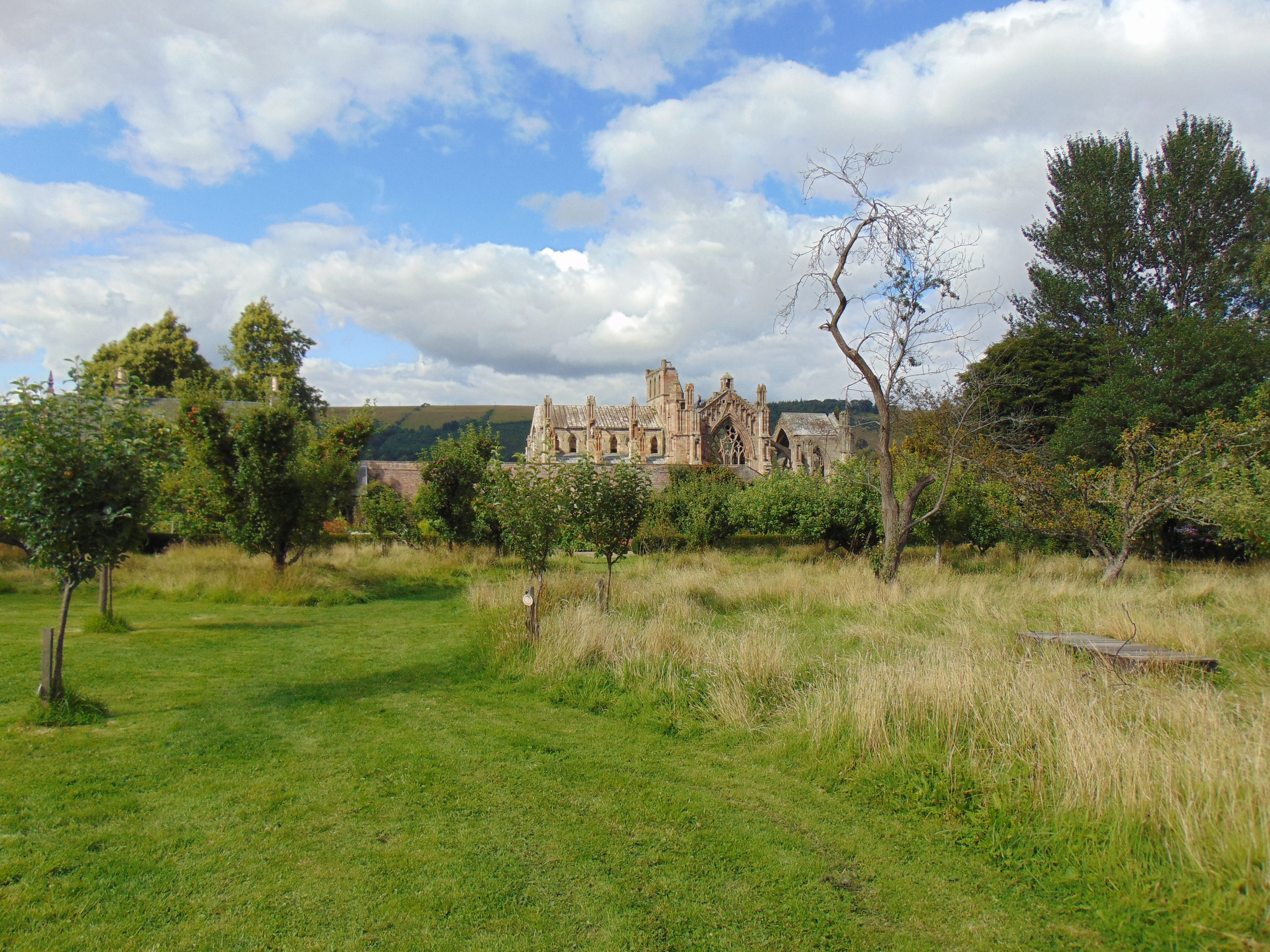 history, ruined, 5K, ruin, melrose abbey, field, cloud - sky, outdoors, scotland, sky, historic, nature, old, medieval, growth, building exterior, no people, HD Wallpaper