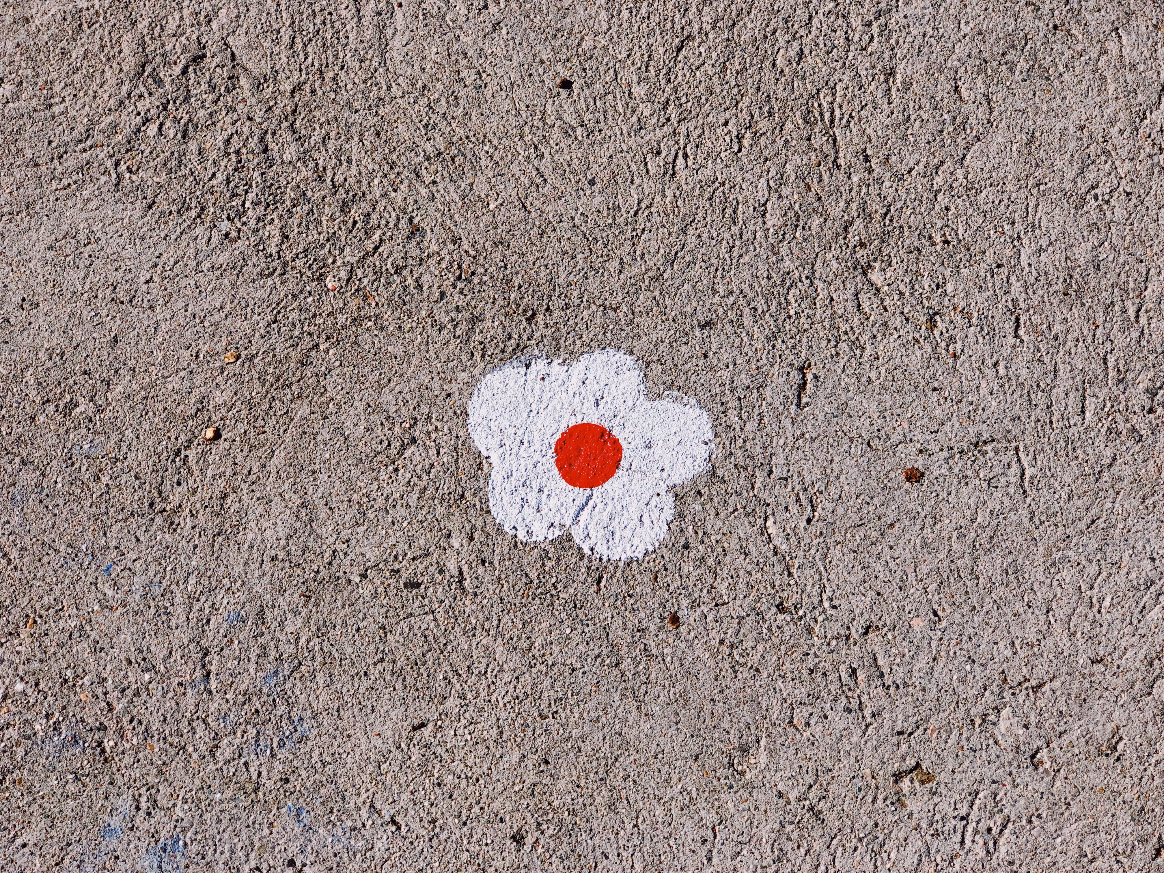 nature, 4K, creativity, texture, textured, high angle view, painting, emotion, land, white, sidewalk, blossom, heart shape, paint, art, close-up, closeup, HD Wallpaper