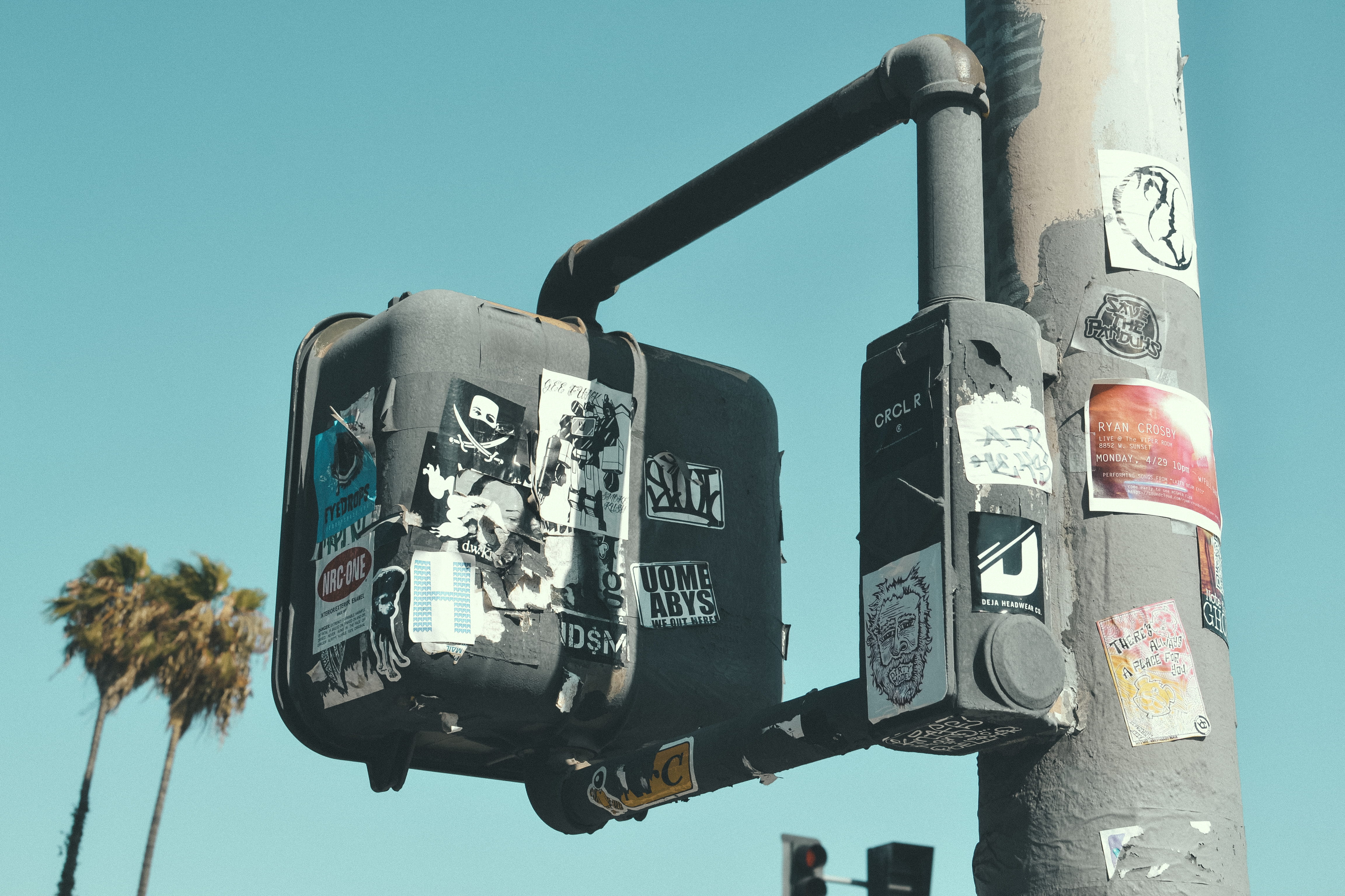 metal, day, california, united states, plant, text, melrose avenue, sunlight, low angle view, 4K, streetlight, malrose, urban, outdoors, nature, communication, HD Wallpaper