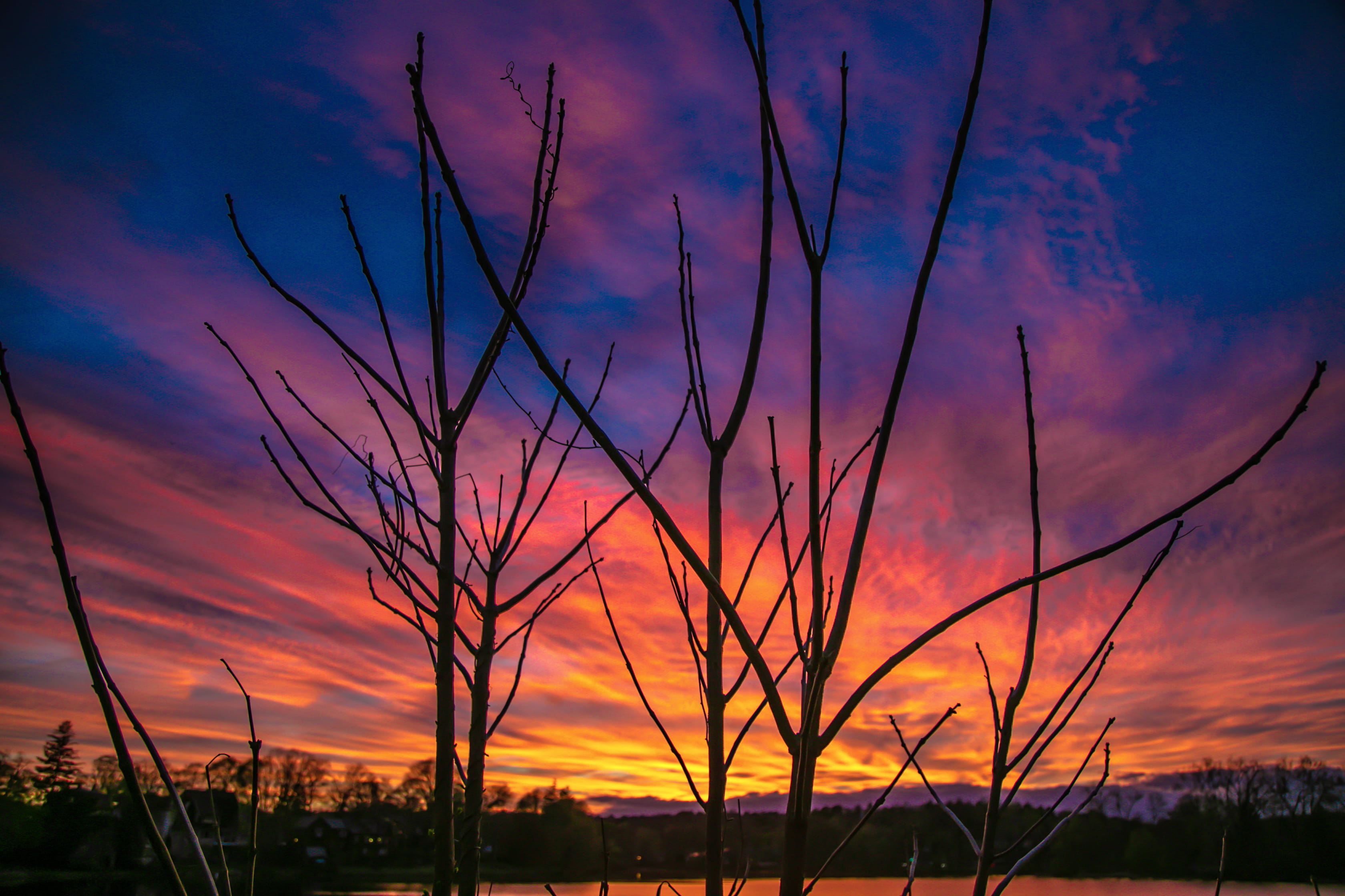 cloud, bare, tranquil scene, dusk, trees, idyllic, non-urban scene, melrose, red sky, ice, scenics - nature, dramatic sky, tranquility, nature, sky, outdoors, HD Wallpaper