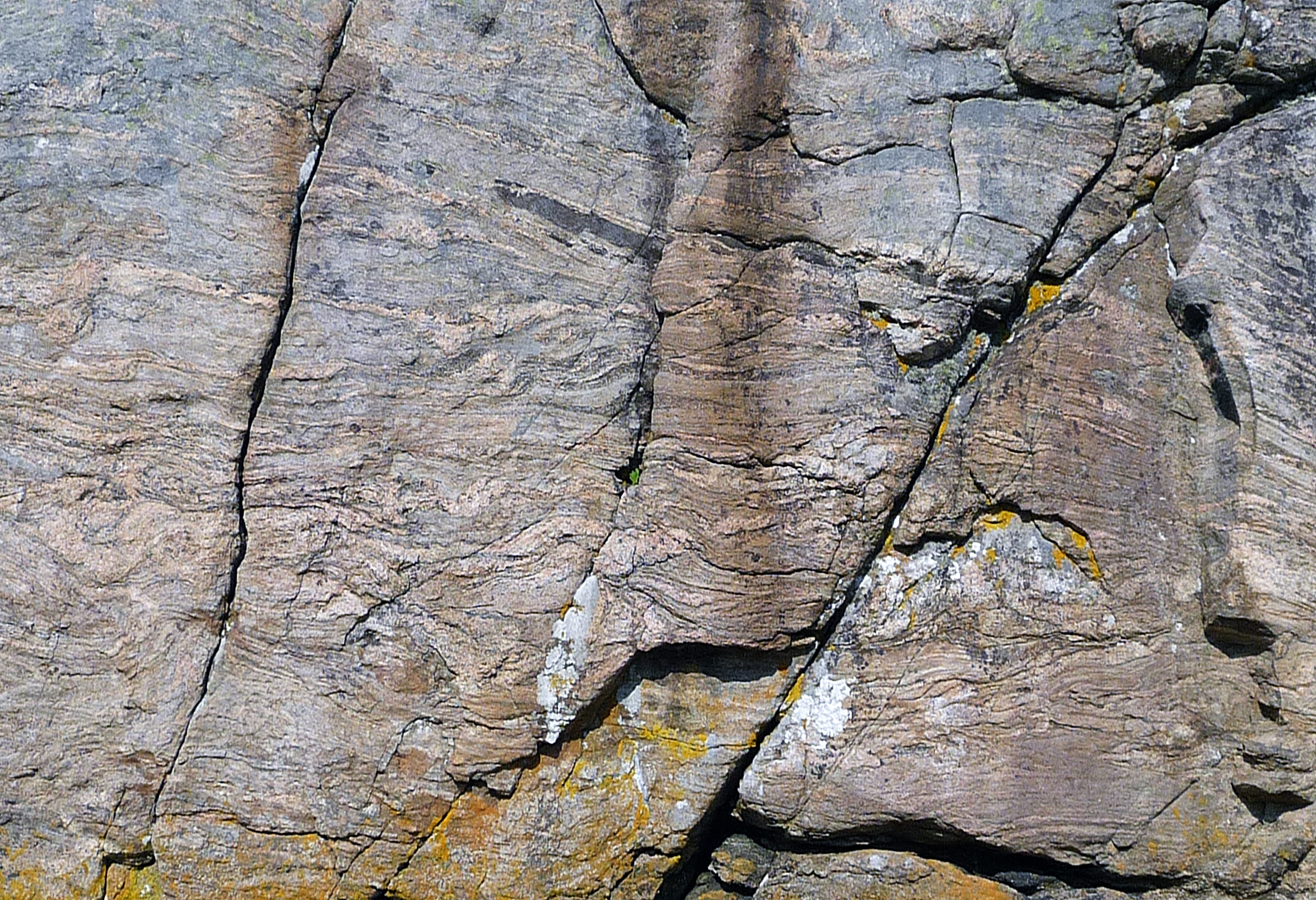 trunk, adventure, leisure activities, tree trunk, cliff, slate, rock - object, sport, day, outdoors, bark, grassland, tree, cracked, sports, linen, climbing, HD Wallpaper