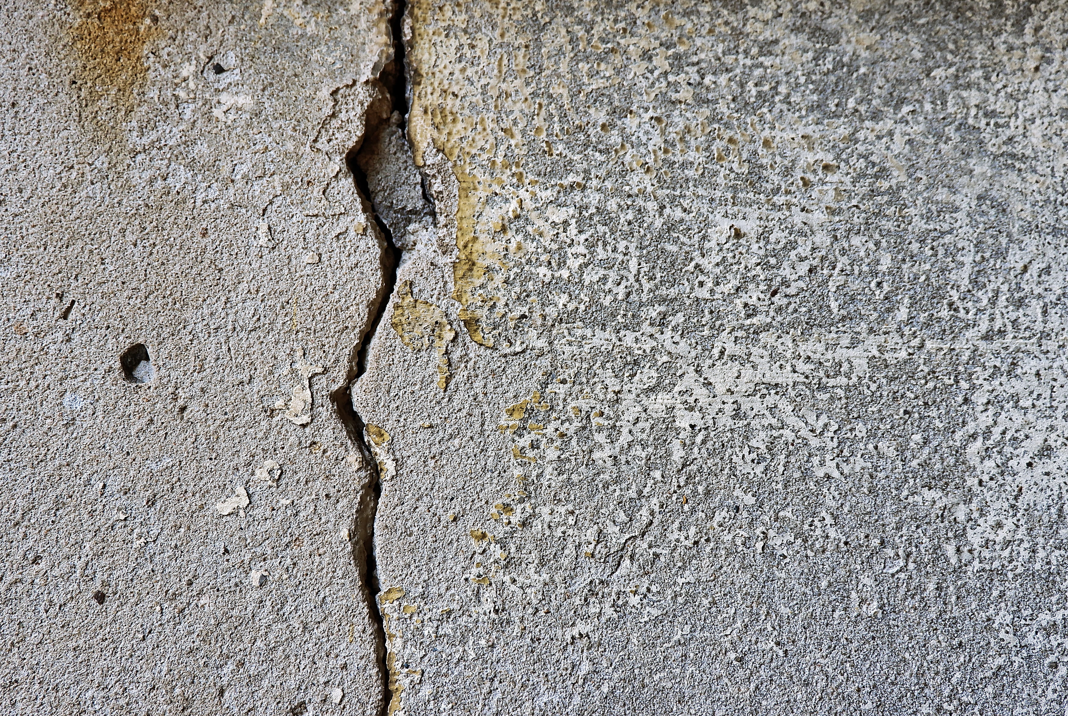 invertebrate, rock, insect, cement, 2K, slate, textured effect, peeled, old, outdoors, backgrounds, cracked, concrete, architecture, run-down, wall - building feature, HD Wallpaper