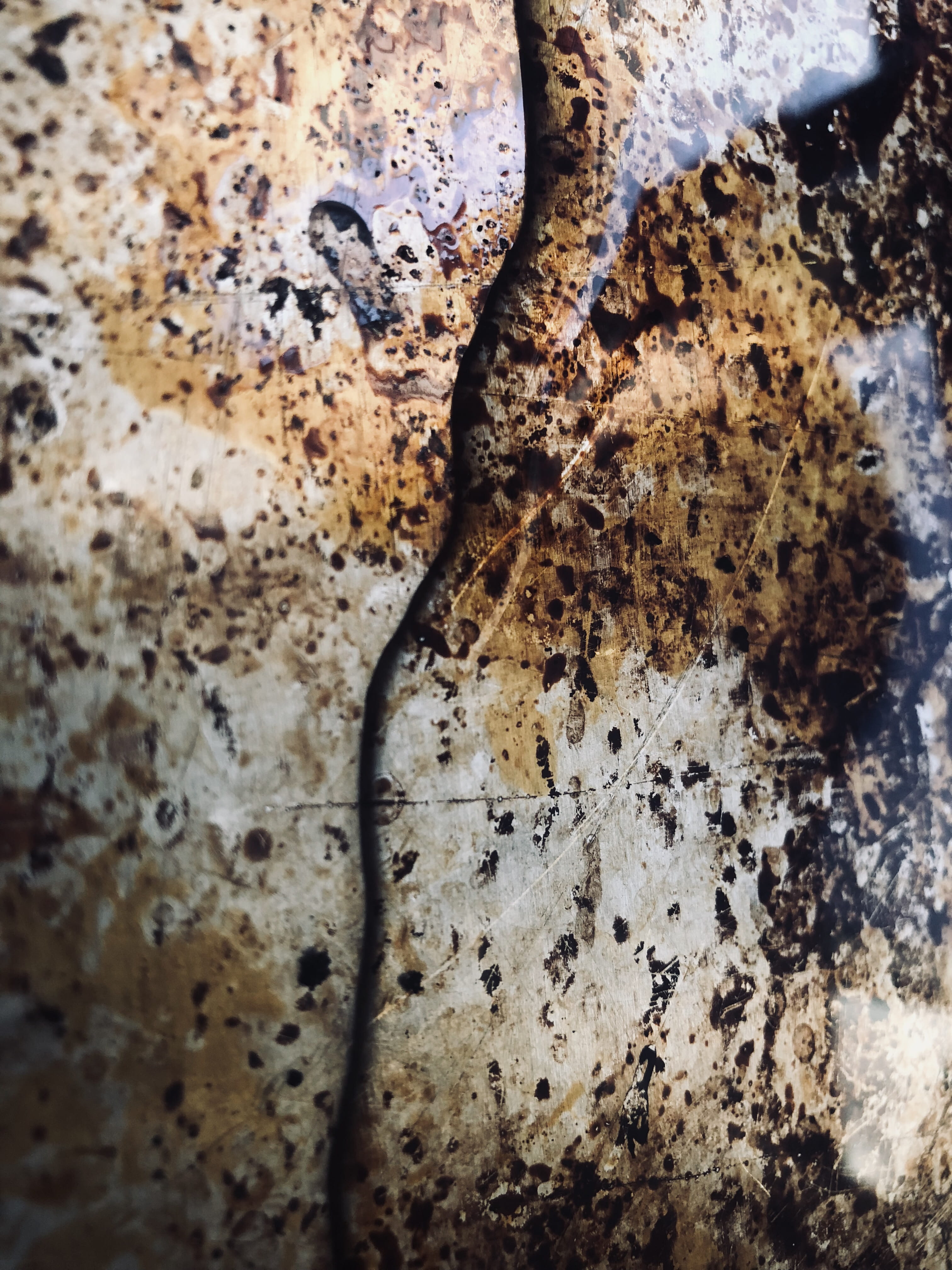 4K, water, background, backgrounds, detail, rough, trunk, texture, pattern, selective focus, brown, neutral, indoors, tree trunk, puddle, tree, plant, Phone HD Wallpaper