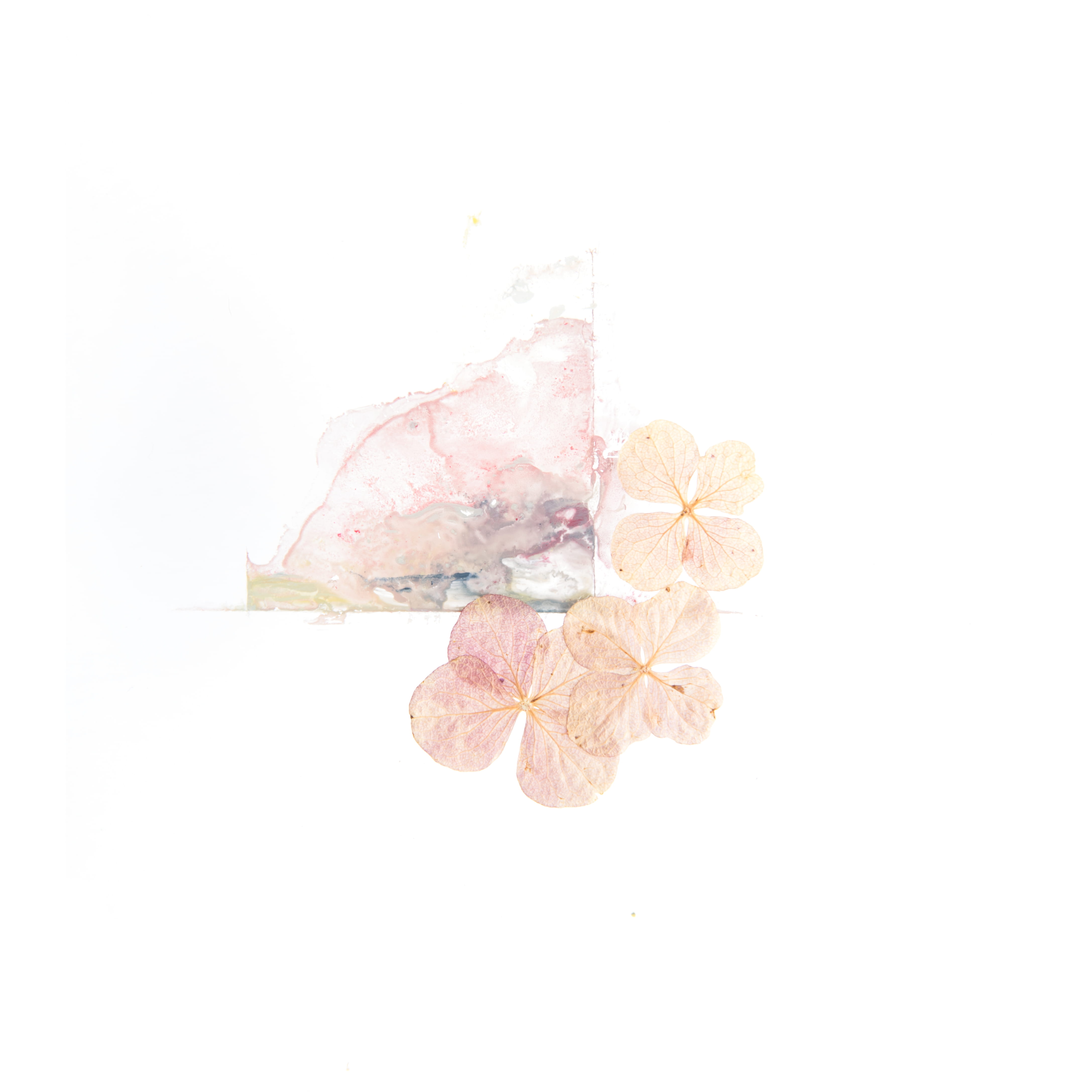 art, multi Colored, artistic, beauty, glass, botanical, neutral, botany, abstract, isolated, 4K, background, japan, close-up, pattern, paint, still, close up, Phone HD Wallpaper