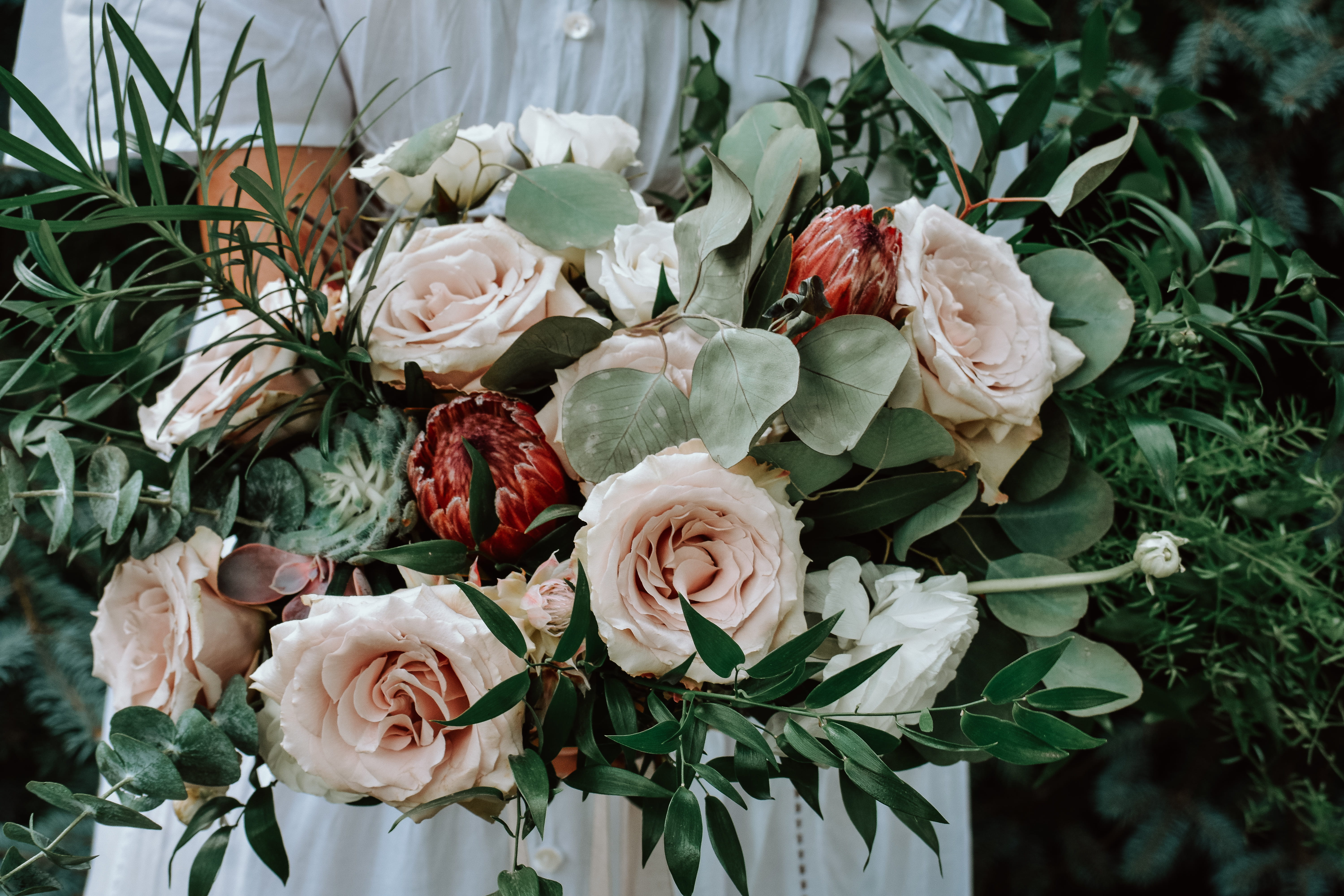anniversary, neutral, pastel, romance, greenery, eucalyptus, person, petal, elegance, planting, succulent, flower, white, gift, flowers, backgrounds, planted, HD Wallpaper