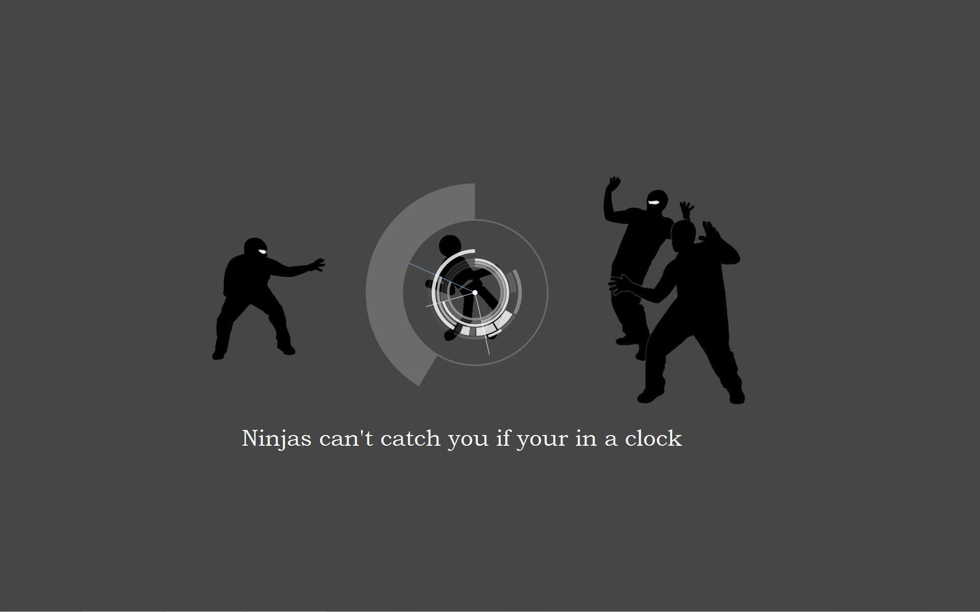 1080P, ninjas, grammar, catch, HD Wallpaper