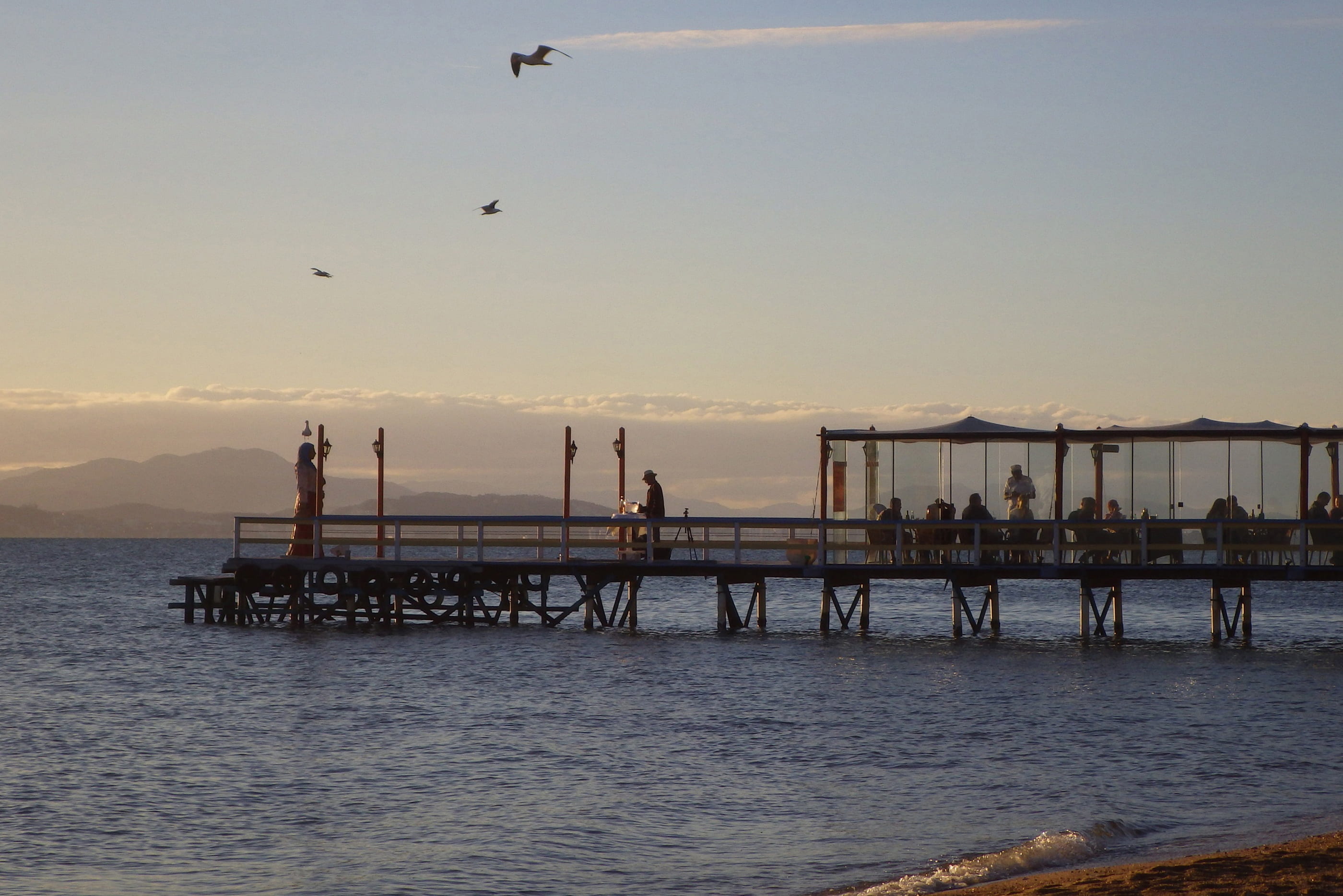 ribeirão da ilha, sunset, vertebrate, sea, built structure, water, architecture, pier, bird, sky, end of afternoon, waterfront, beauty in nature, outdoors, HD Wallpaper