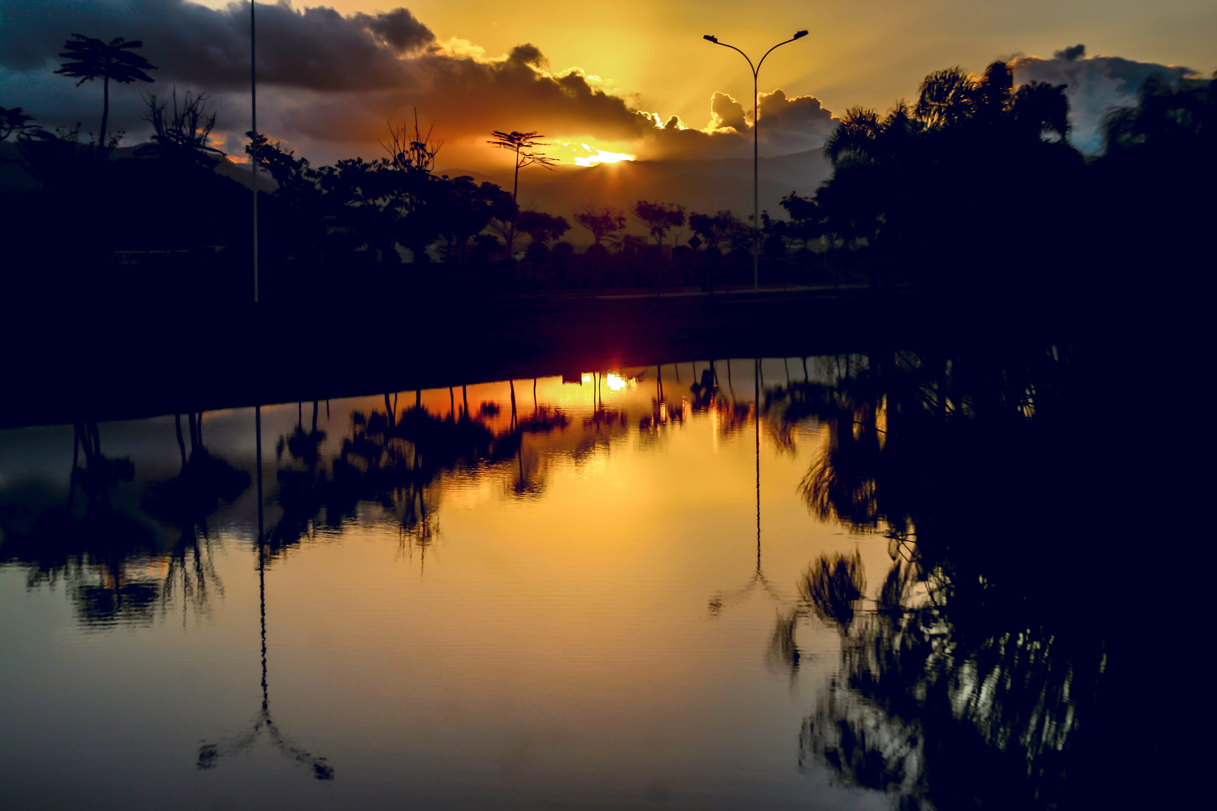 beauty in nature, tree, silhouette, outdoors, horizon, afternoon, peace, tranquil scene, dusk, cloud - sky, end of the day, reflection lake, gratitude, HD Wallpaper