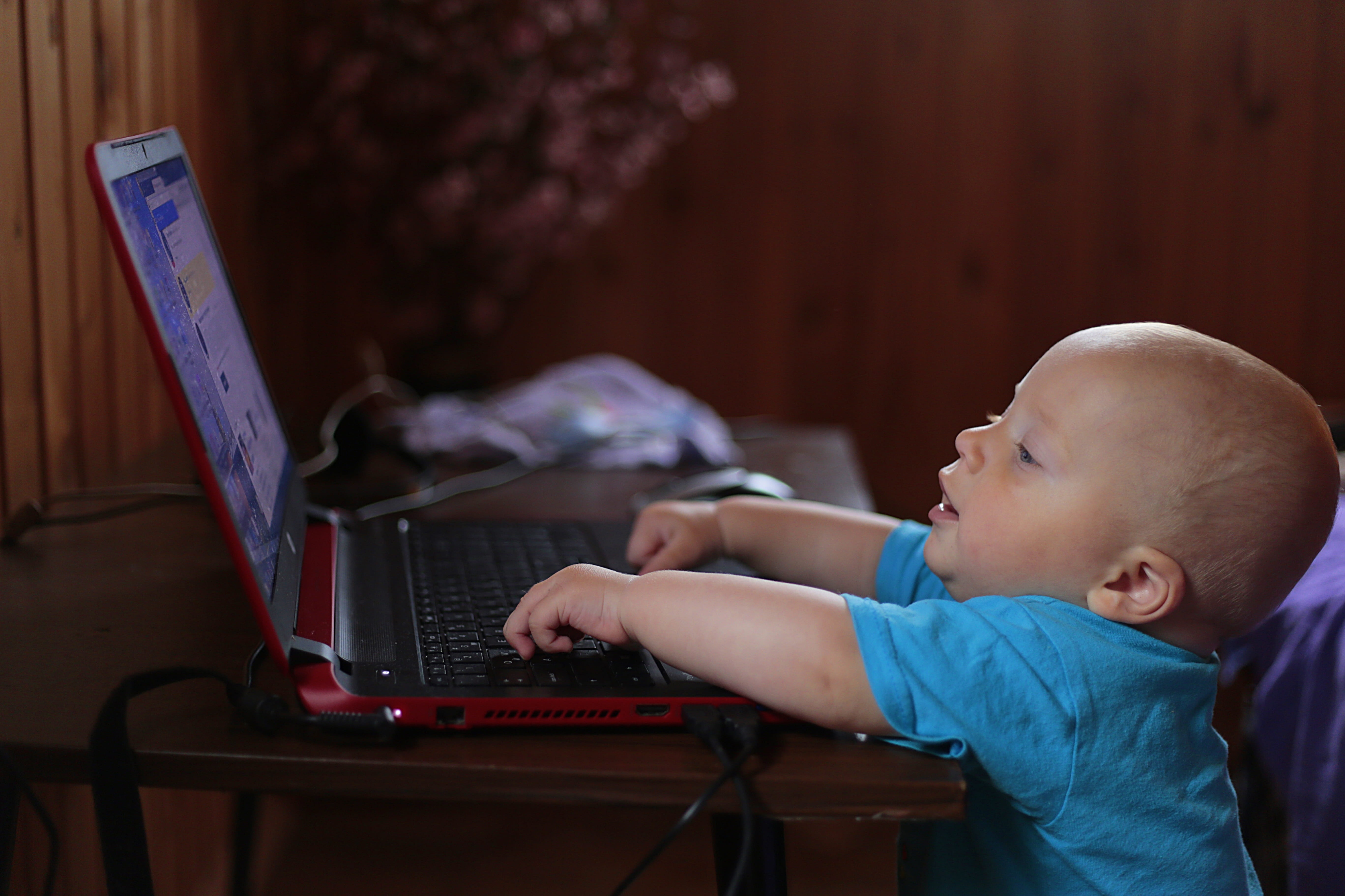 using, curiosity, profile view, toddler, wireless technology, childhood, computer, online, side view, kid, happy, beauty, laptop, notebook, gadget, emotion, HD Wallpaper