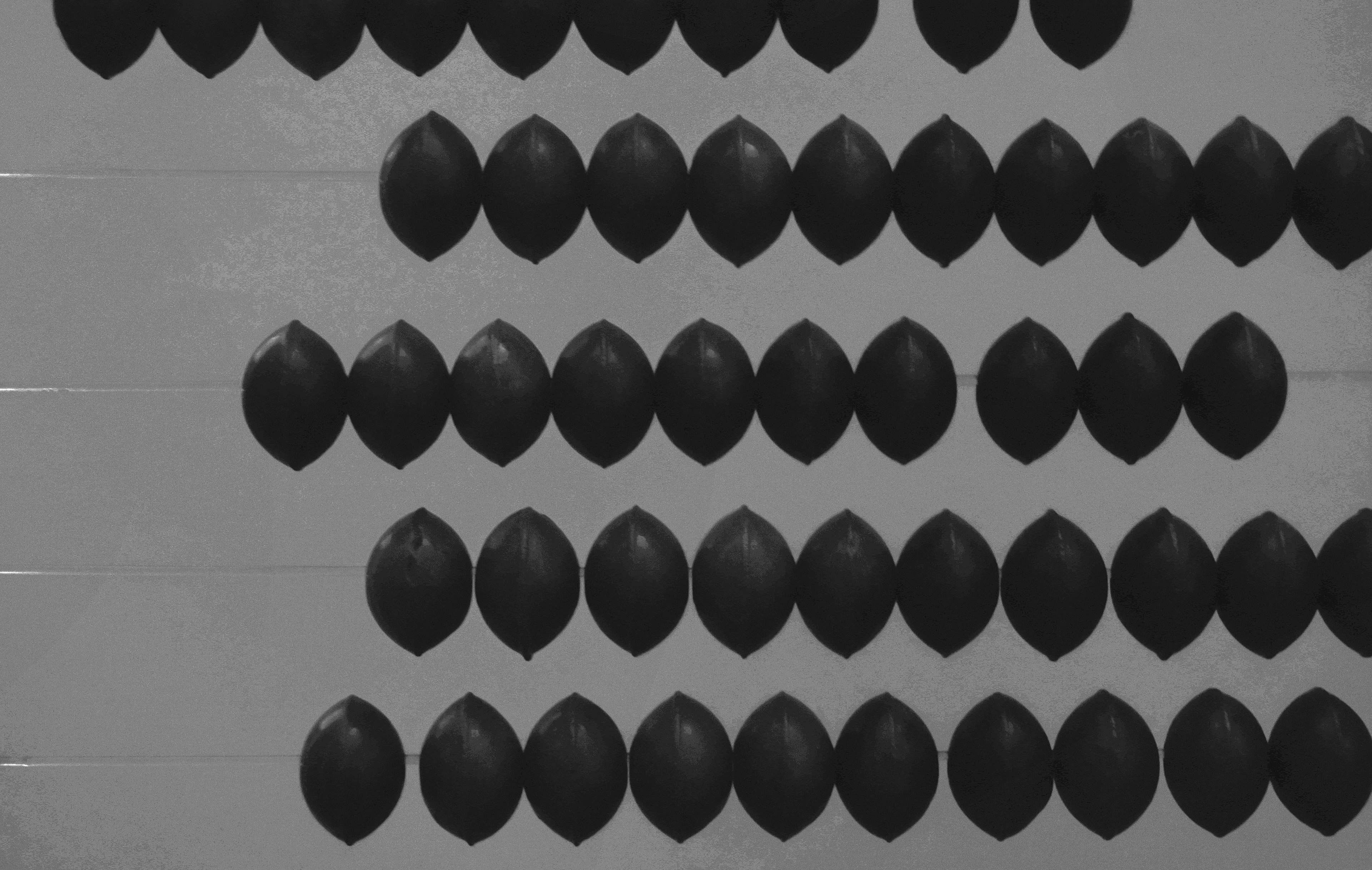 no people, arrangement, counting, protection, studio shot, large group of objects, full frame, antique, indoors, repetition, gray, blue, shape, 4K, design, HD Wallpaper
