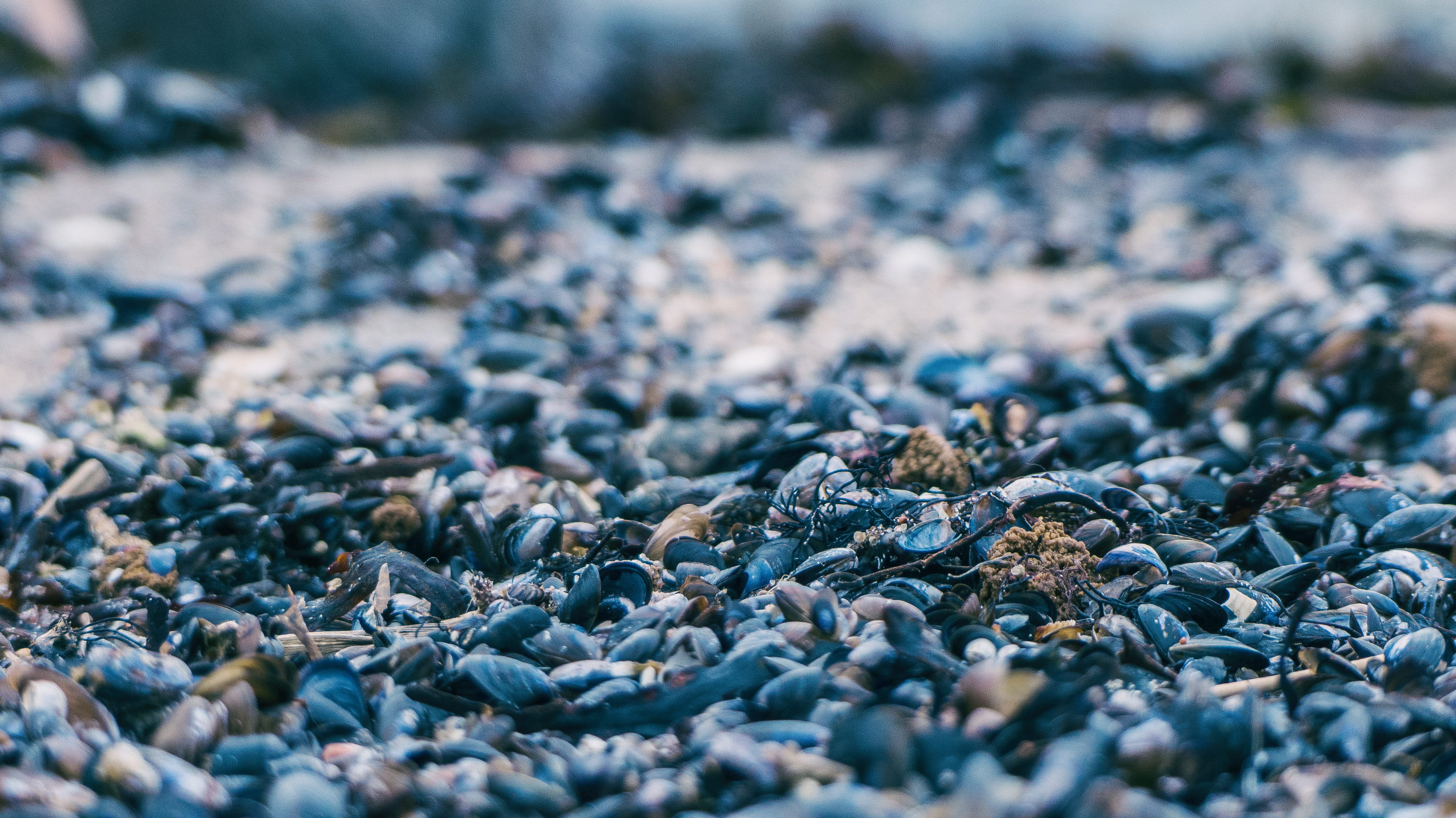 water, focus, environment, day, land, beige, 4K, stone, close-up, backgrounds, macro, sand, pattern, close, no people, rock, stone - object, wet, photography, HD Wallpaper