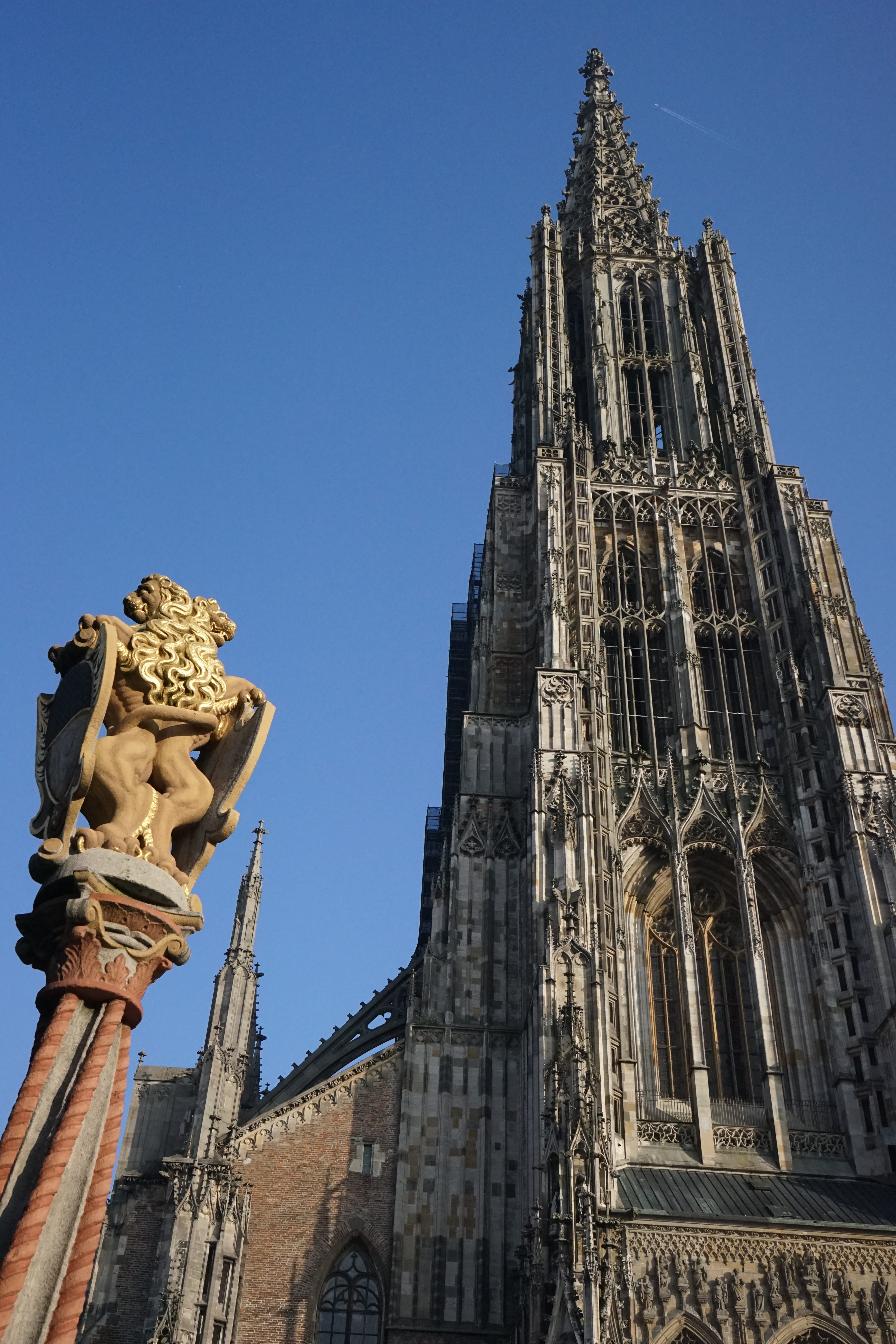 spirituality, religion, gothic style, double lion, lion fountain, architecture, ulmer muenster space, steeple, travel destinations, belief, figure, cathedral square, Phone HD Wallpaper