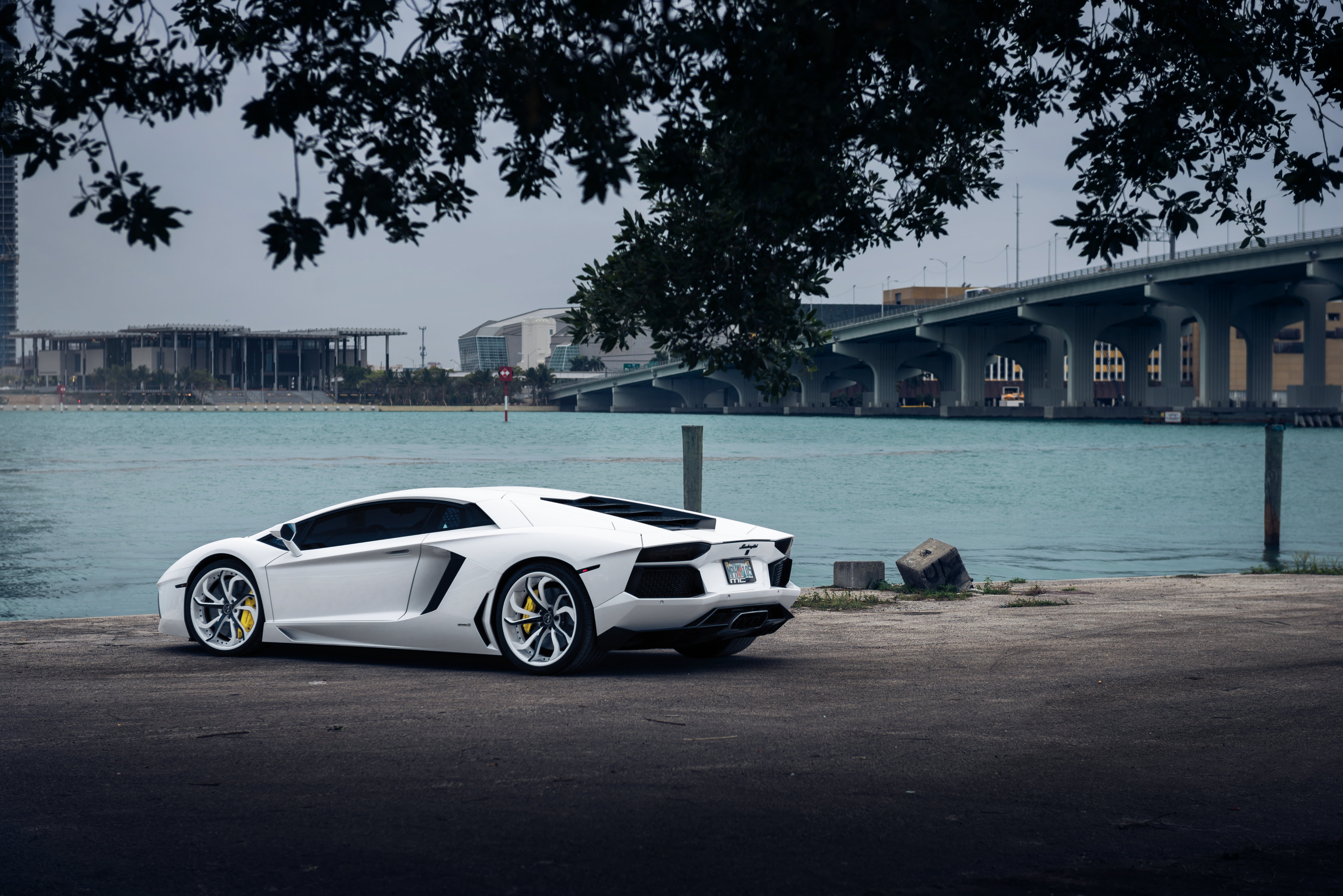5K, transportation, tree, mode of transportation, motor vehicle, White, building exterior, Vellano MC Customs, sky, day, wealth, nature, car, built structure, HD Wallpaper