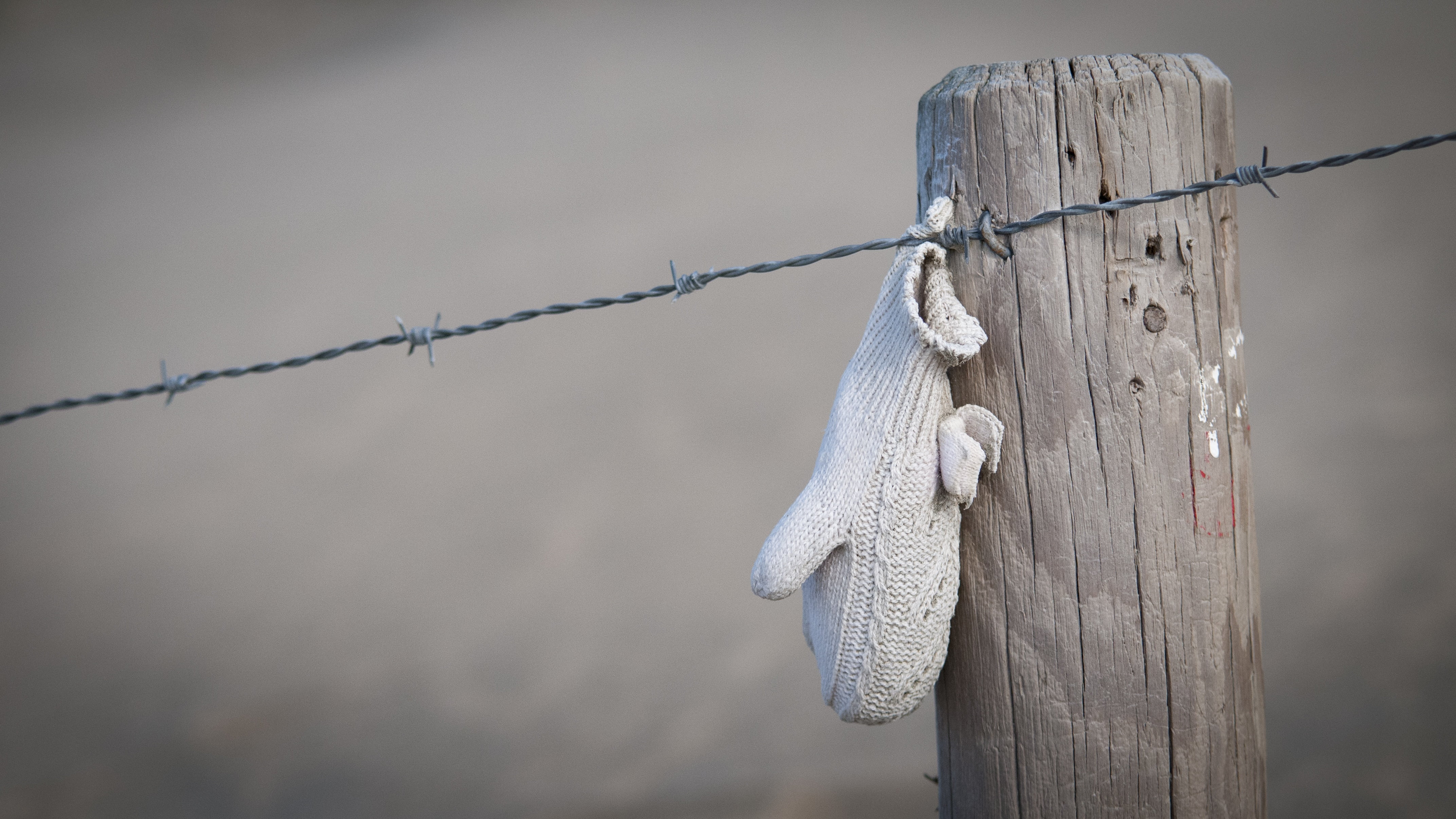 focus on foreground, boundary, glove, wood - Material, wire, nature, close-up, rope, barbed wire, outdoors, day, because, metal, safety, 4K, wooden post, HD Wallpaper