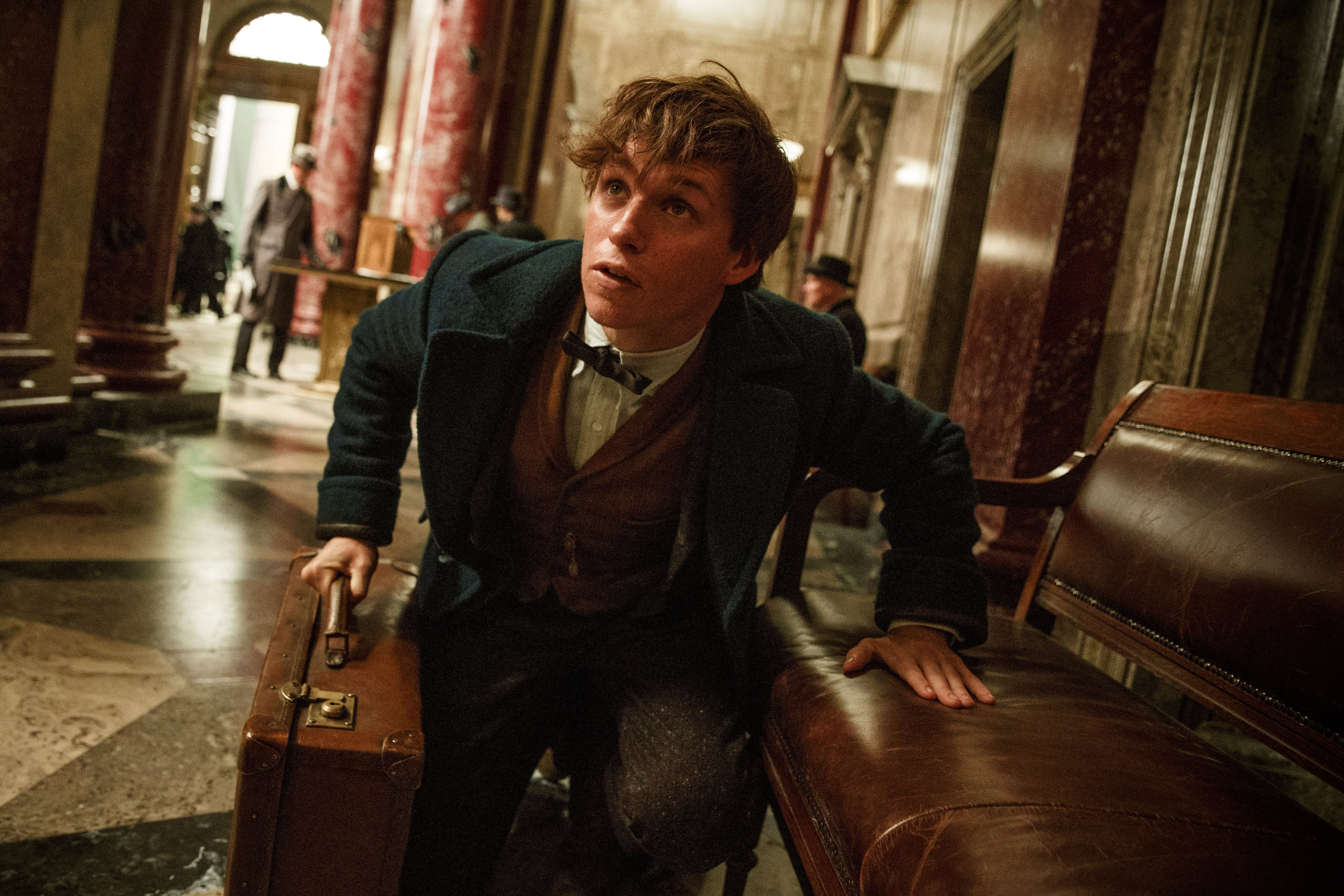 artist, arts culture and entertainment, men, fantastic beasts and where to find them, musician, focus on foreground, travel, musical instrument, 4K, luggage, HD Wallpaper