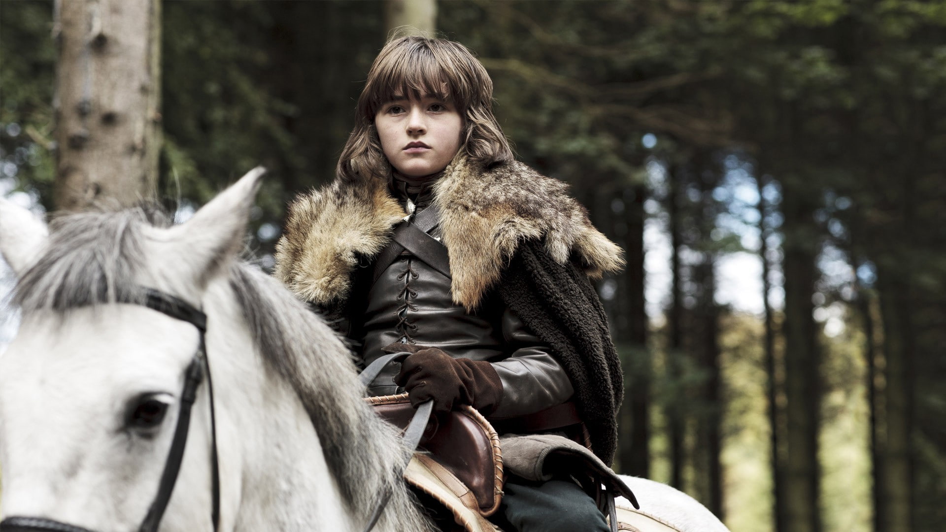 animal themes, land, domestic, winter, portrait, warm clothing, tree, mammal, game of thrones brandon stark horse, outdoors, one person, forest, clothing, HD Wallpaper