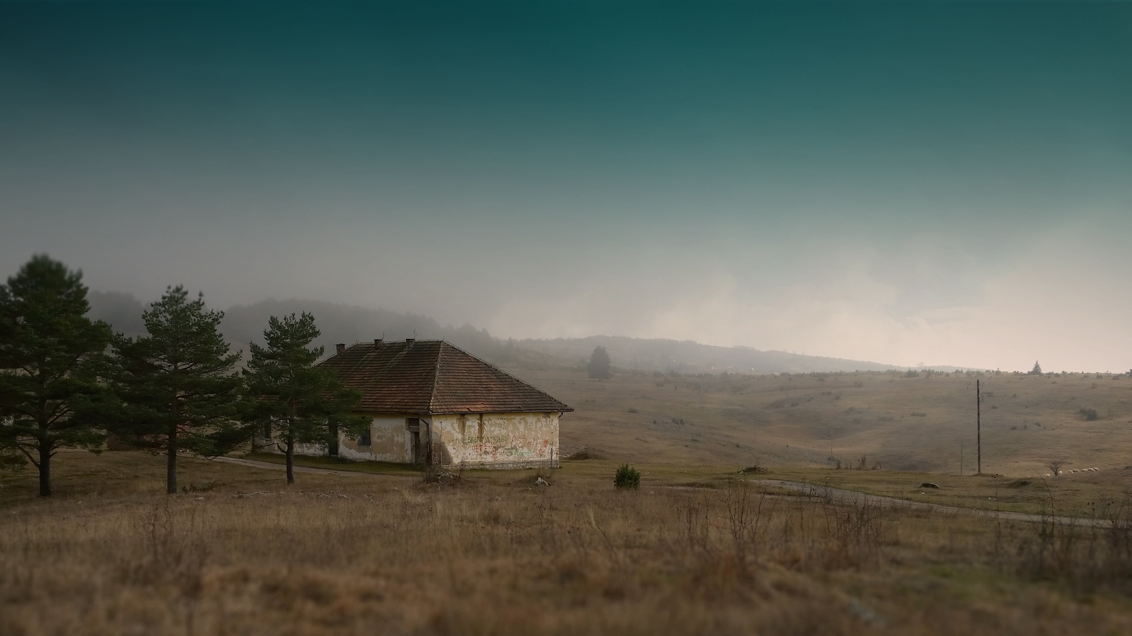 rural Scene, environment, built structure, teach, wisdom, elementary, antique, class, vintage, land, old, knowledge, scenics - nature, outdoors, aged, white, HD Wallpaper