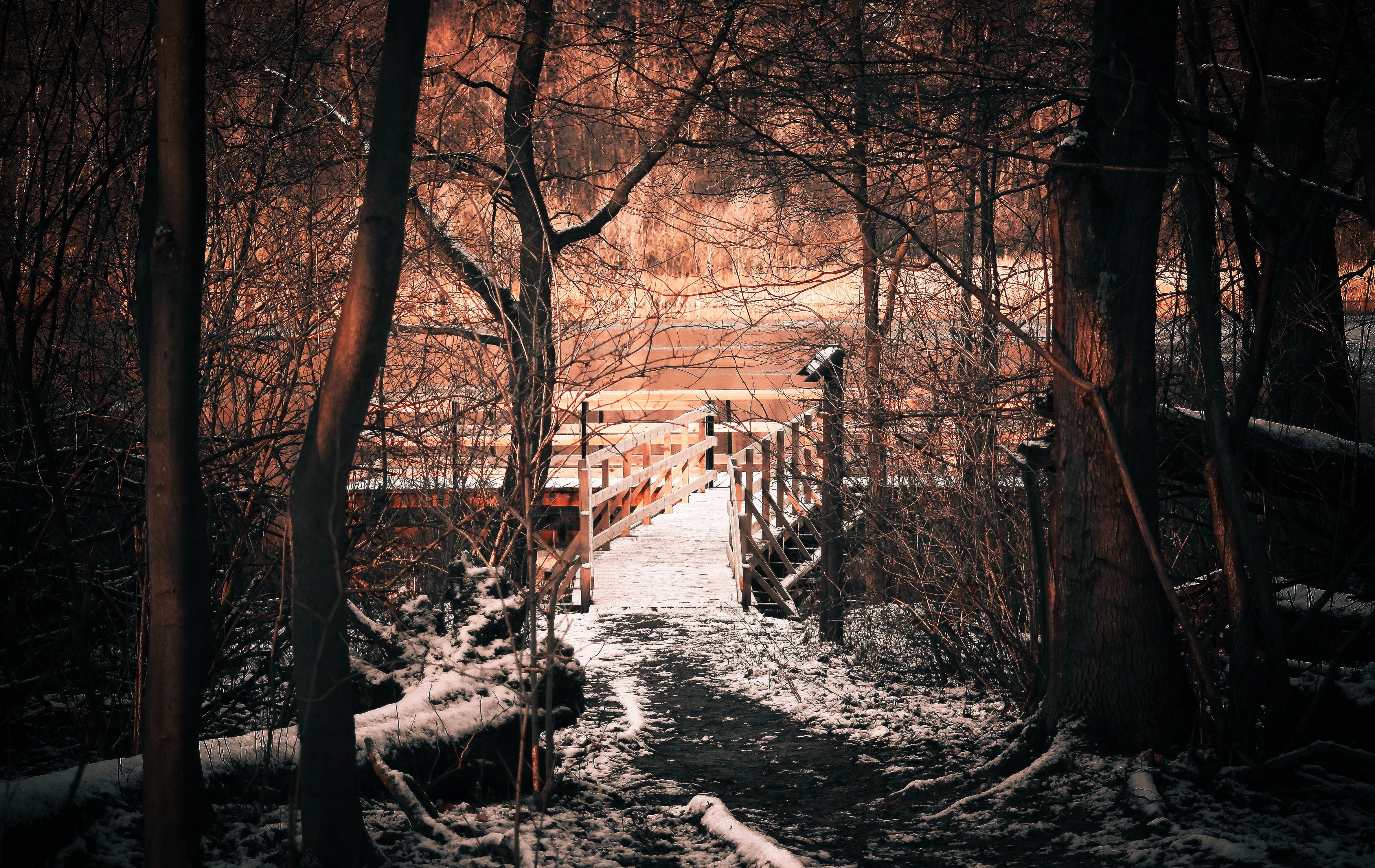 light, architecture, the silence, forest, shadow, cold, scenically, branch, wooden, mysterious, lonely, near, change, loneliness, built structure, spacer, HD Wallpaper