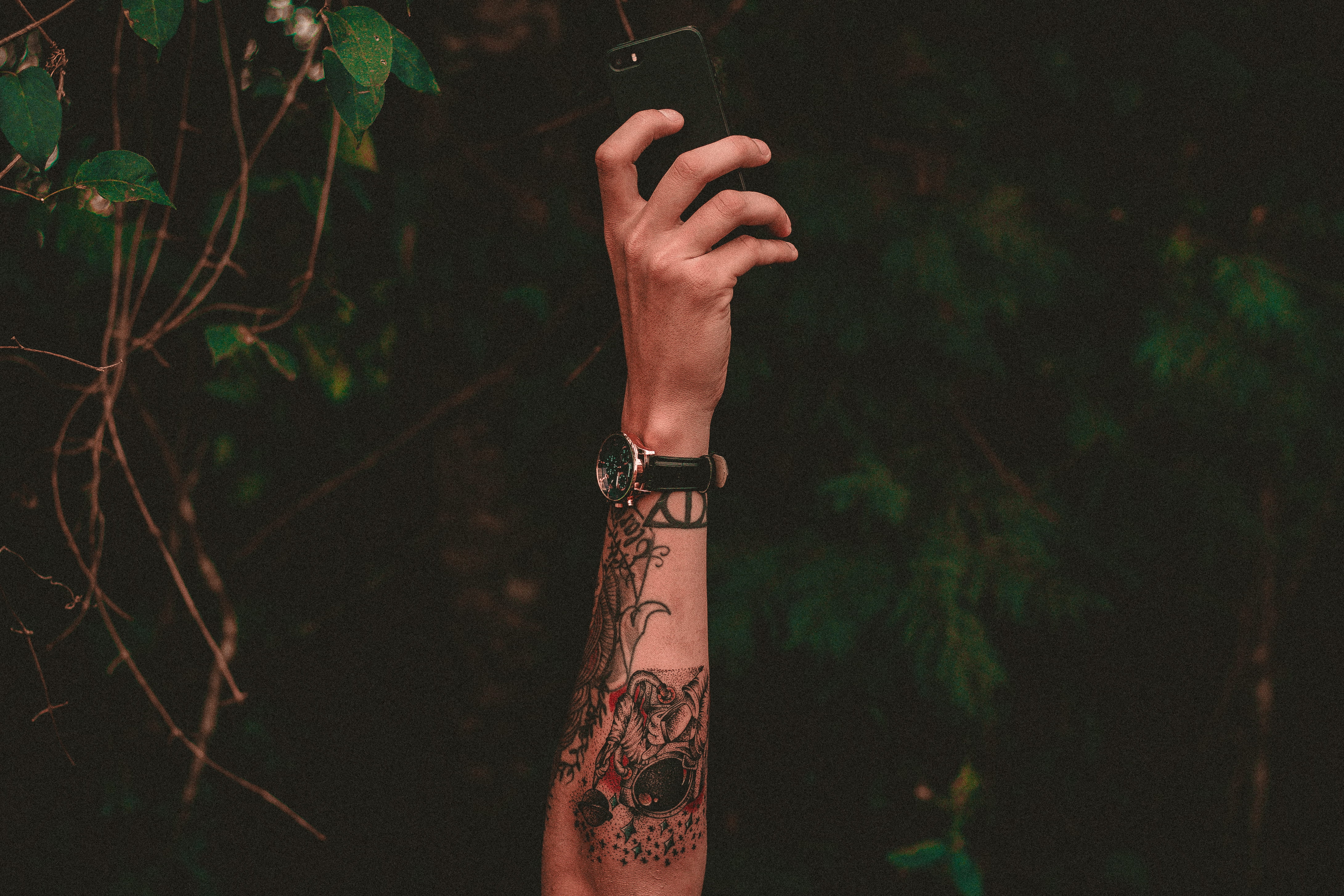 forest, person, arm, adult, finger, body part, men, black, iphone, one person, human body part, reach, green, leisure activity, hand raised, human arm, HD Wallpaper