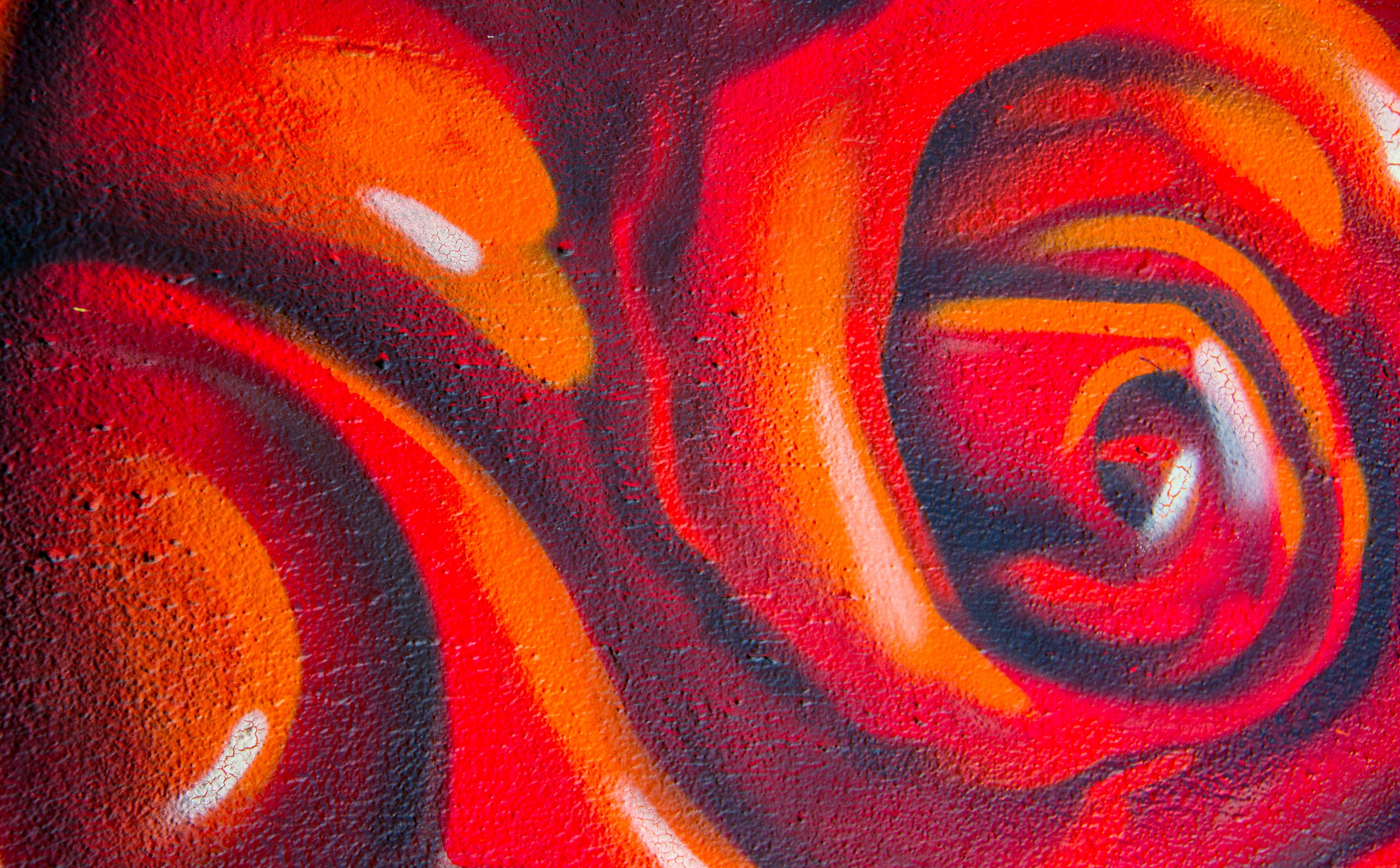 mural, Texas, indoors, concentric, multi colored, Flower, full frame, Rose, red, close-up, abstract, nature, science, spraypaint, water, textured, pattern, HD Wallpaper