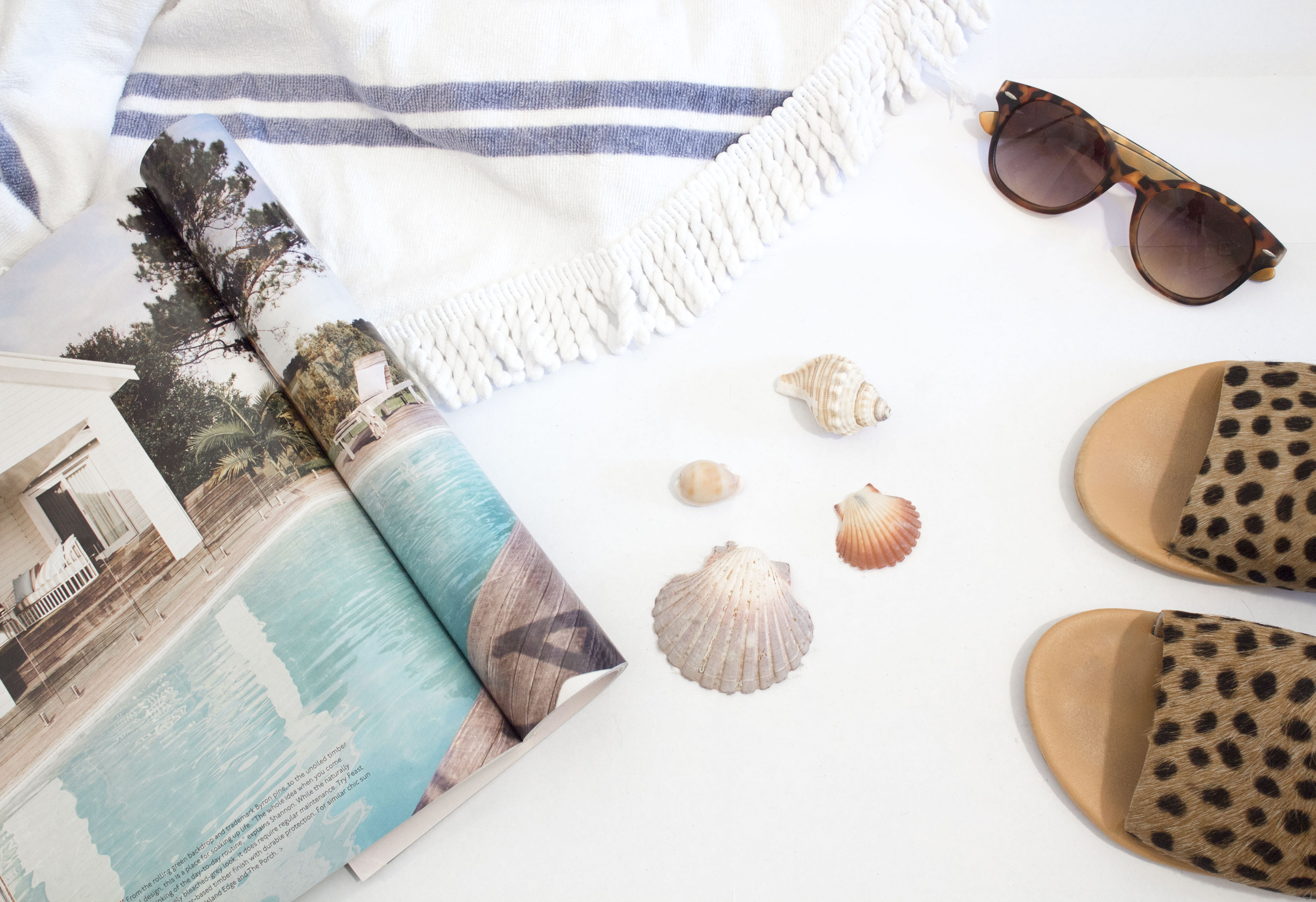 shell, opened, sunglasses, instagram, no people, white background, high angle view, beachy, beside, water, flatlay, tropical climate, sunshine, reading, HD Wallpaper