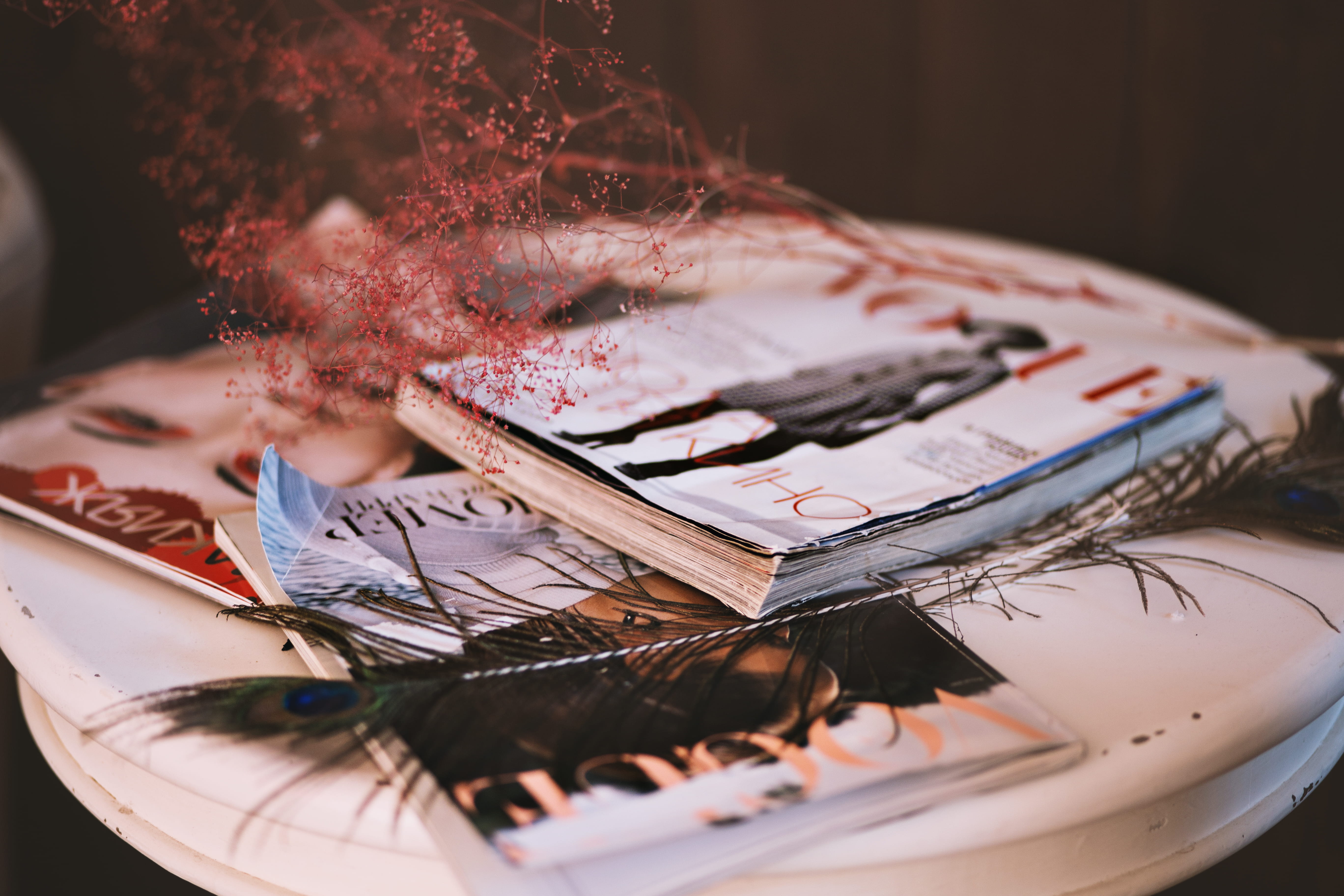 currency, celebration, finance, consumerism, women, magazines, studio shot, indulgence, young adult, food and drink, conceptual, art, chocolate, vogue, HD Wallpaper