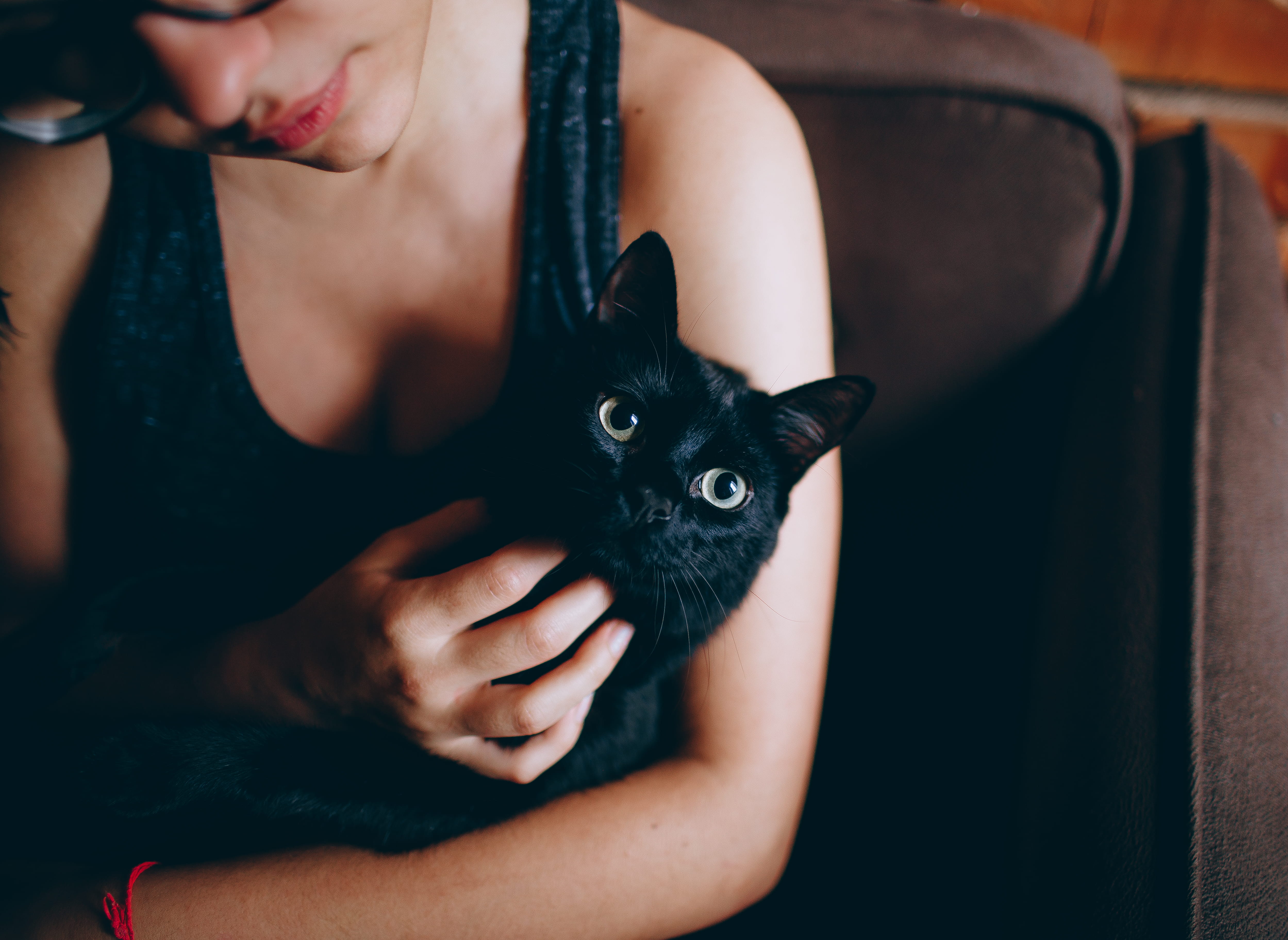 holding, one person, fur, care, black, cat, kitty, adorable, woman, portrait, whiskers, girl, wear, person, domestic, animal, indoors, hug, real people, HD Wallpaper