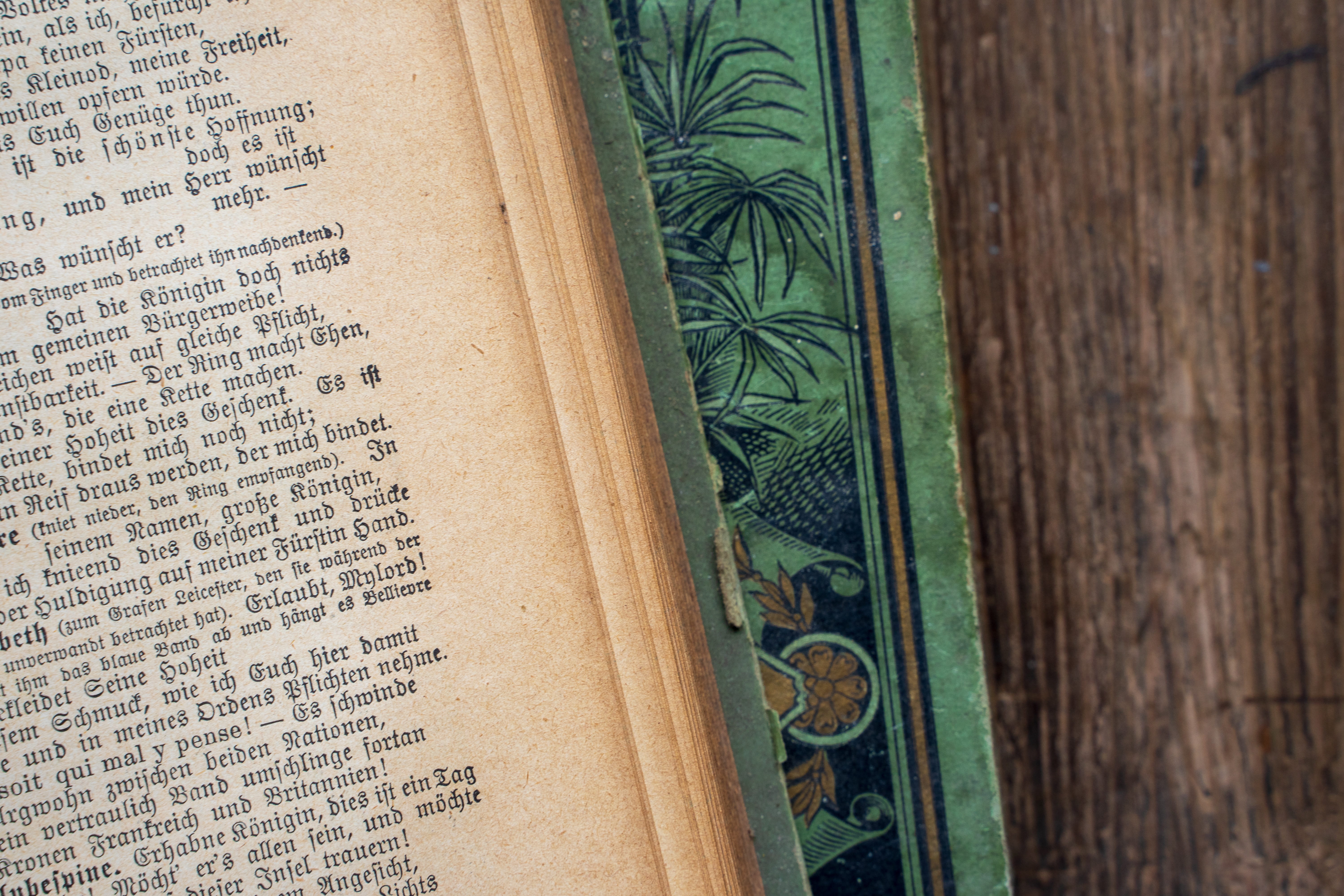 literature, romantic, middle ages, still life, wisdom, wood - material, text, textbook, page, indoors, open, book, paper, books, vintage, green color, famous, HD Wallpaper