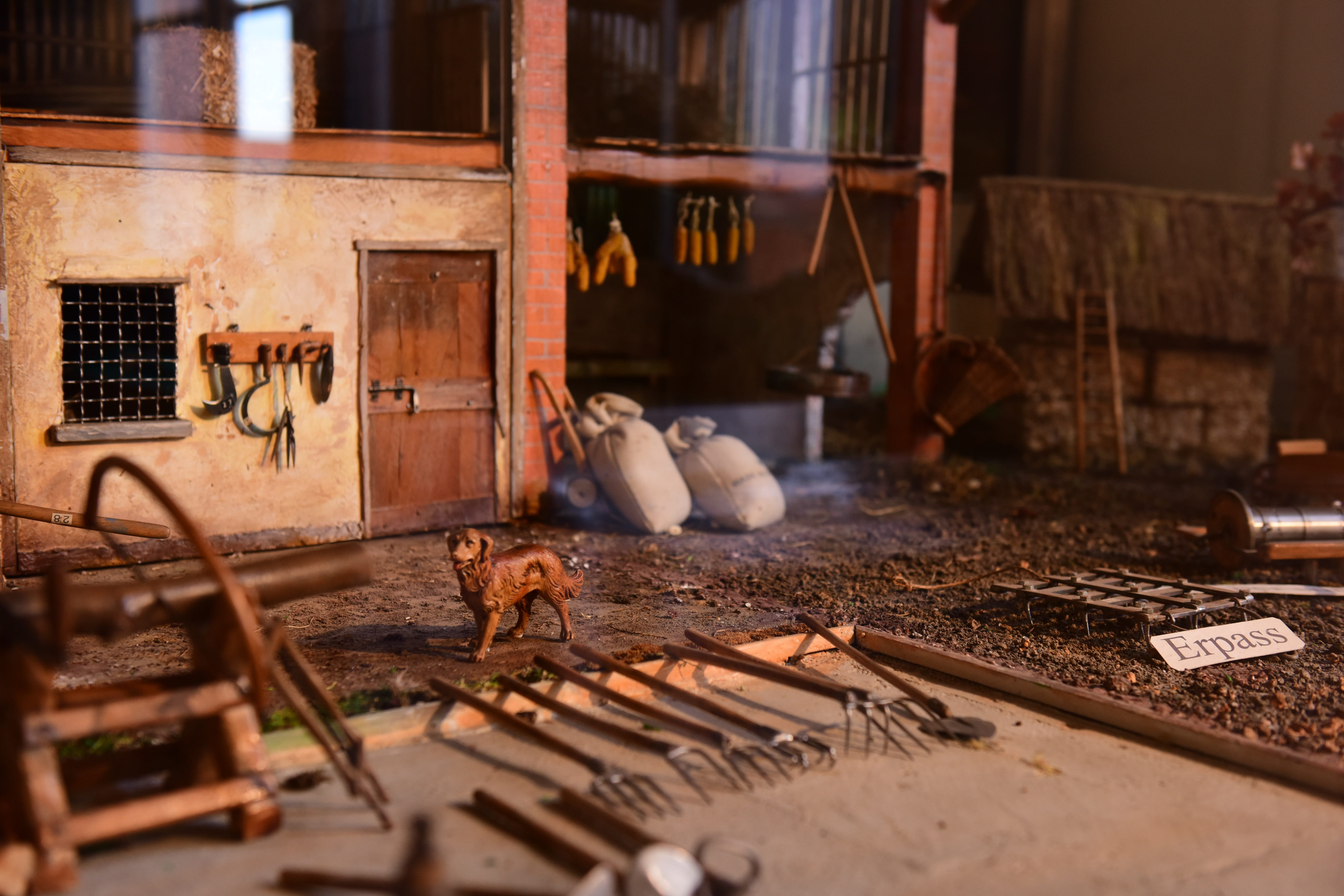 animals, metal, sunset, built structure, bags farmstead, vertebrate, scrutinize, wood - material, indoors, animal themes, guard, architecture, food and drink, HD Wallpaper