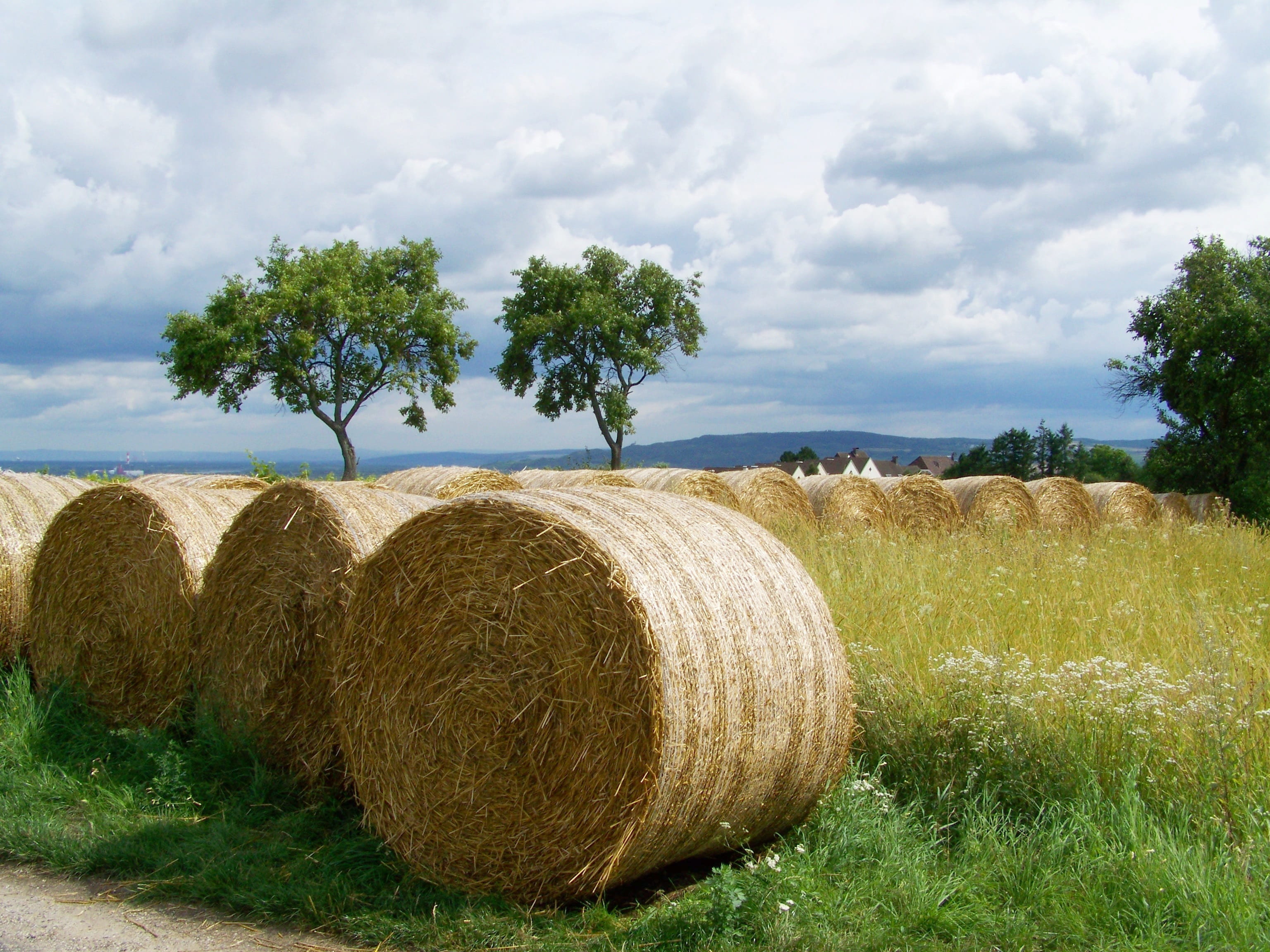 grass, beauty in nature, no people, growth, straw, rural landscape, agriculture, field, bales, gabonasz, hay, land, cloud - sky, outdoors, r, farm, Potential, HD Wallpaper