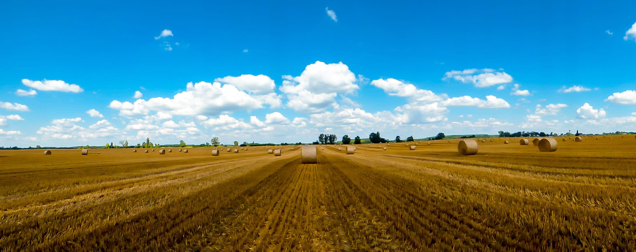 rural landscape, no people, harvested crops, farm, scenics - nature, ripe, land, cereal plant, straw bales, horizon, straw bale, nature, bale, sky, field, HD Wallpaper