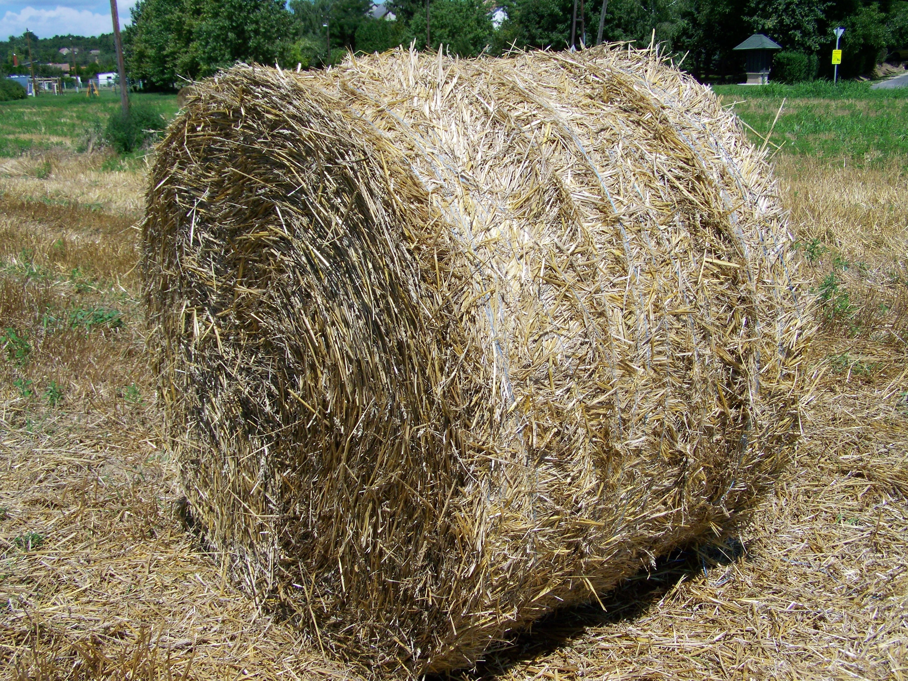 straw, rural landscape, agriculture, outdoors, no people, hay, plant, bale, 2K, straw bale, rolled up, farm, day, landscape, haystack, grass, land, nature, HD Wallpaper