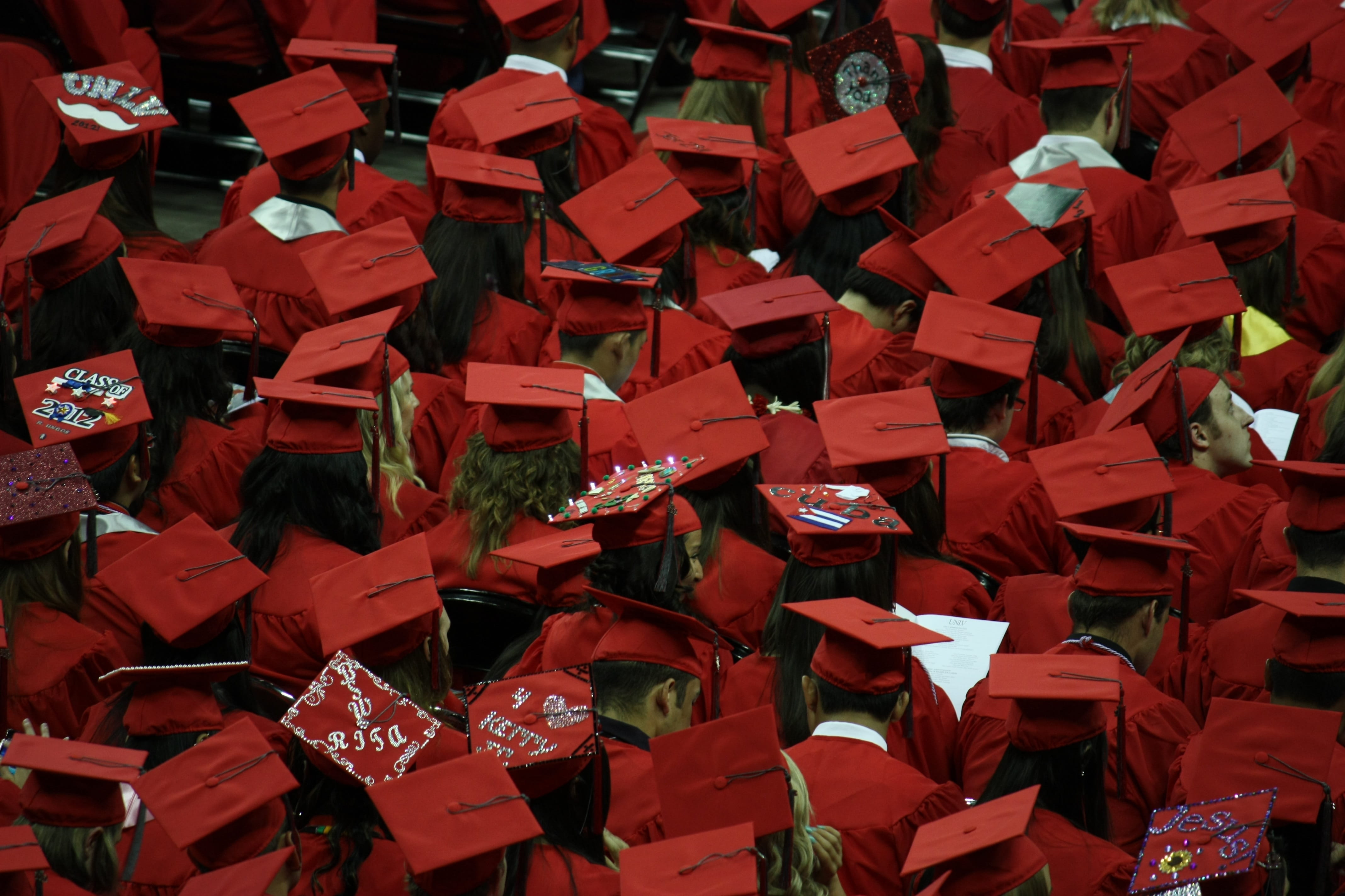 abundance, nature, graduates, academic dress, graduation, high angle view, full frame, close-up, outdoors, no people, still life, red, academic, dress, HD Wallpaper