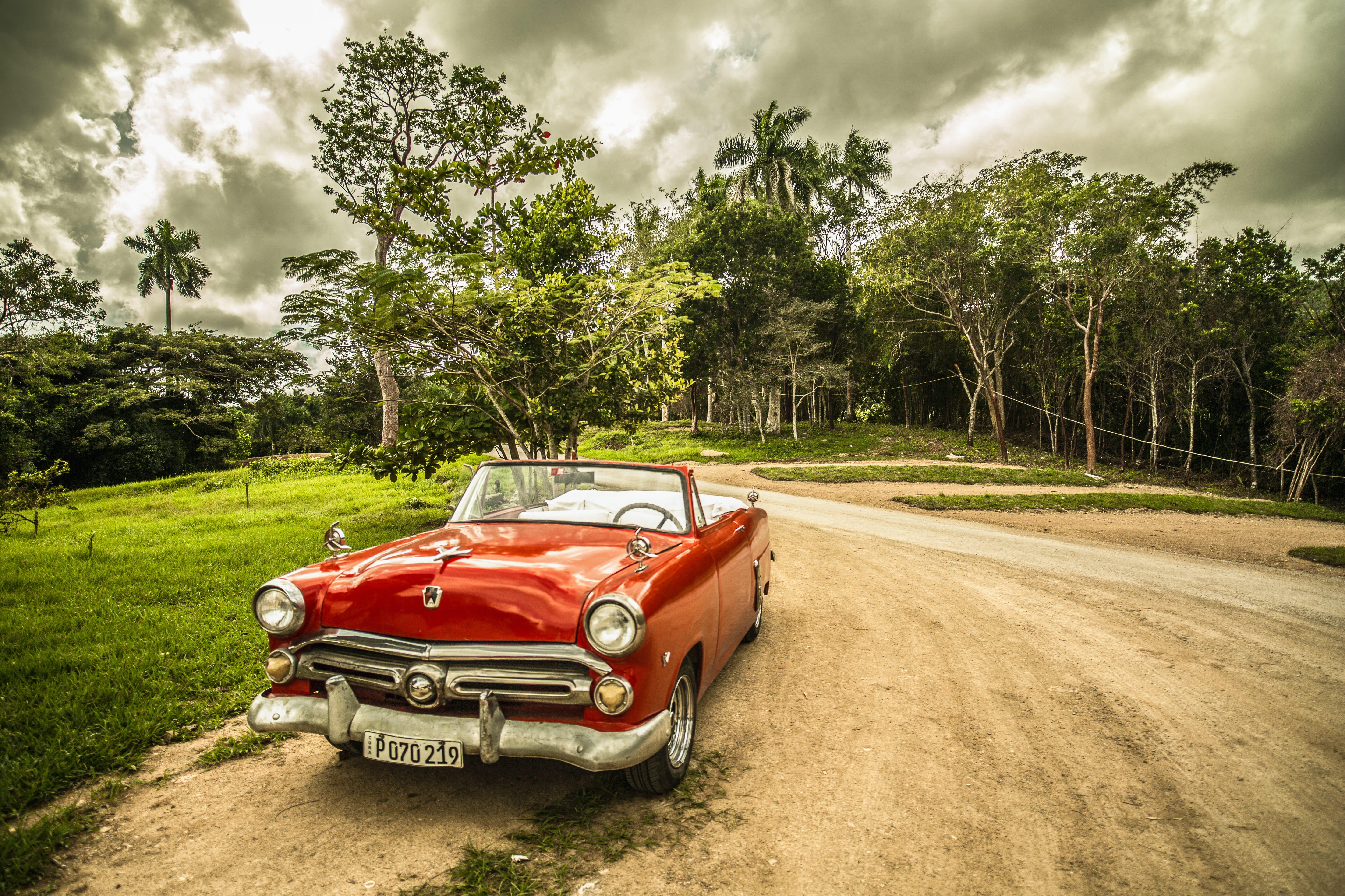 5K, primary forest, road, luxury, adventure, plant, convertible, green color, mode of transportation, old car, road trip, land vehicle, forest, land, sepia, HD Wallpaper
