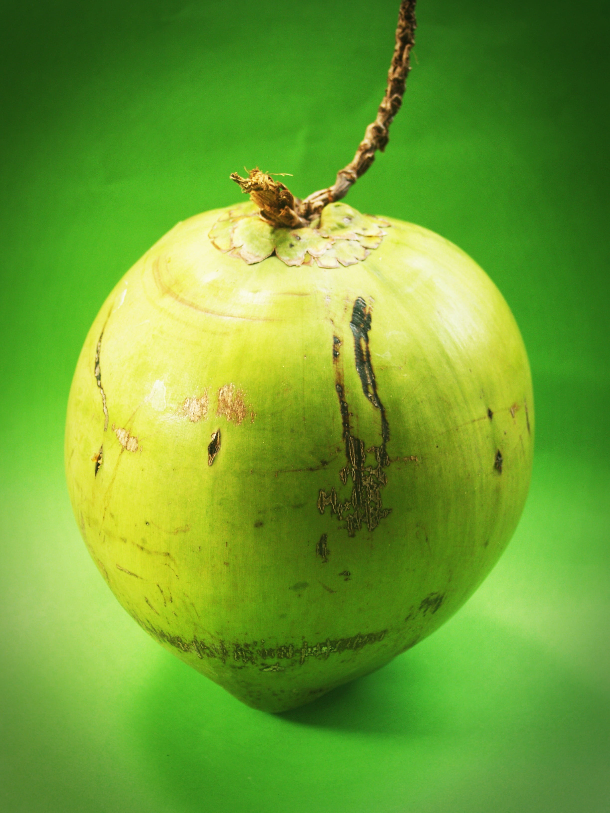 close-up, raw, nobody, shell, close, branch, colour, fresh, sweet, freshness, copy, exotic, shot, organic, full, juice, white, single, food and drink, raw food, Phone HD Wallpaper