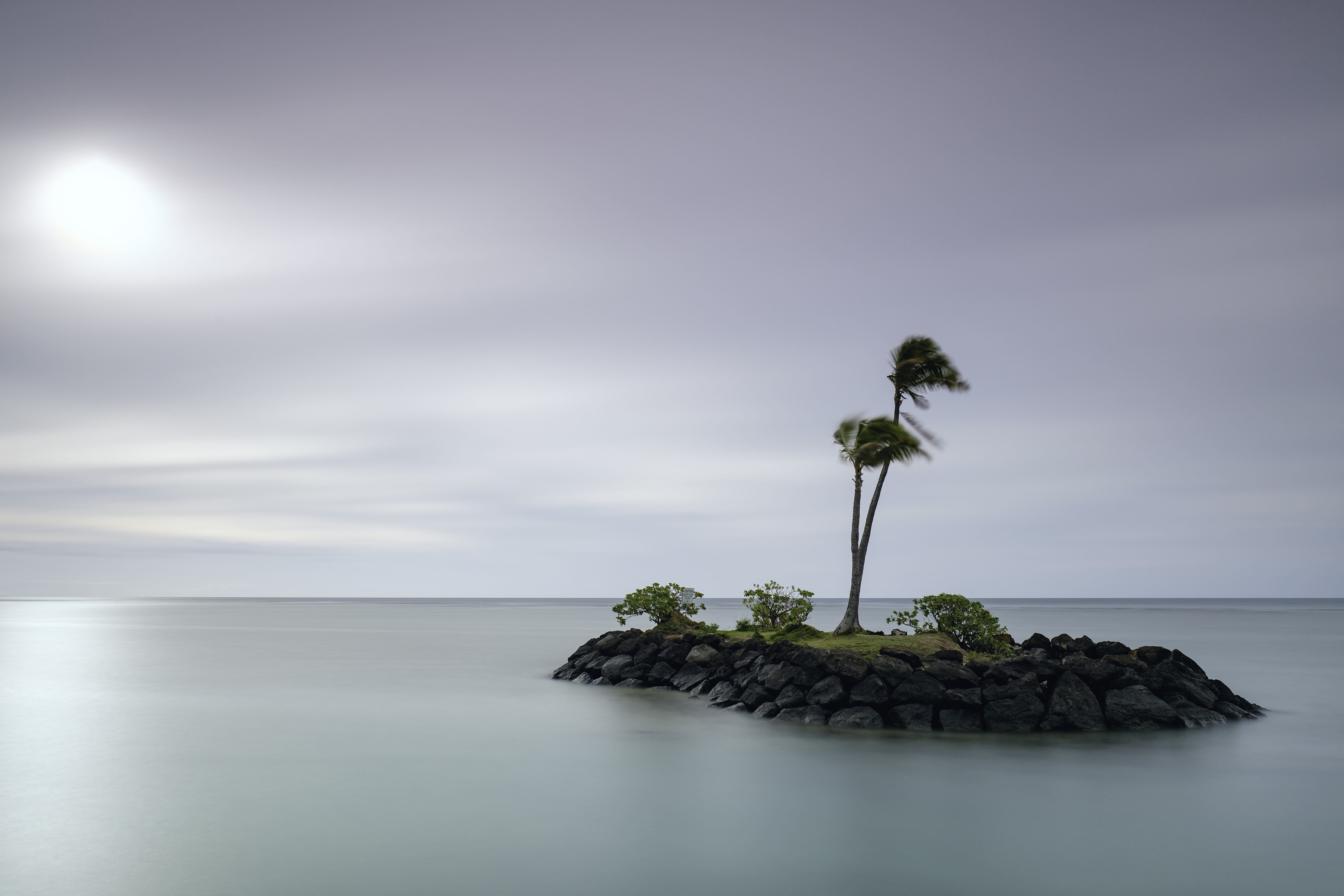 Park Island, horizon, 5K, water, tree, island, cloud - Sky, sea, travel Locations, tranquil Scene, summer, Beach Park, idyllic, coastline, palm tree, nature, HD Wallpaper