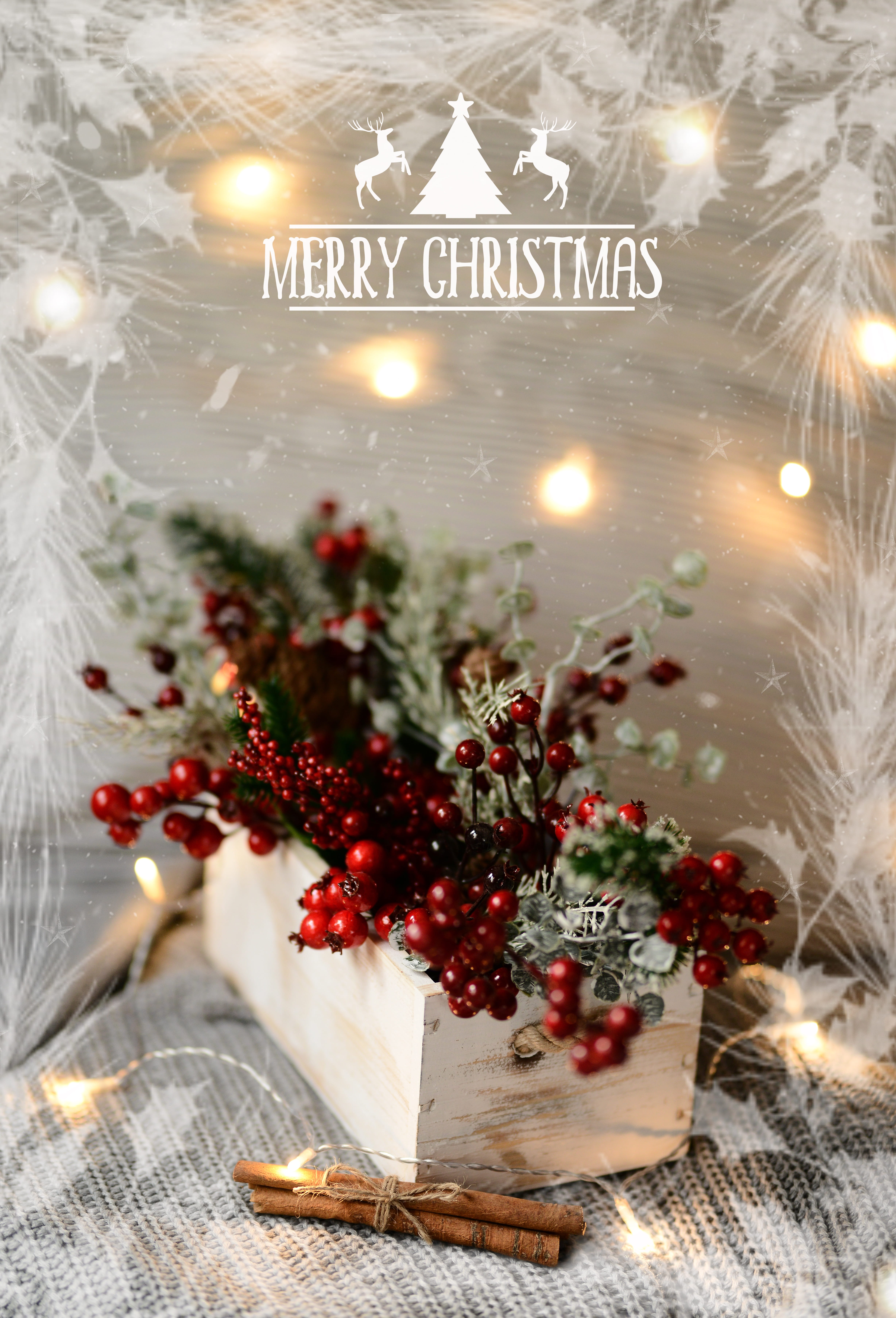 decoration, glass, illuminated, christmas lights, flower, the elegance, wood, festive, christmas tree, glowing, 5K, transparent, seasonal, holiday, close-up, Phone HD Wallpaper