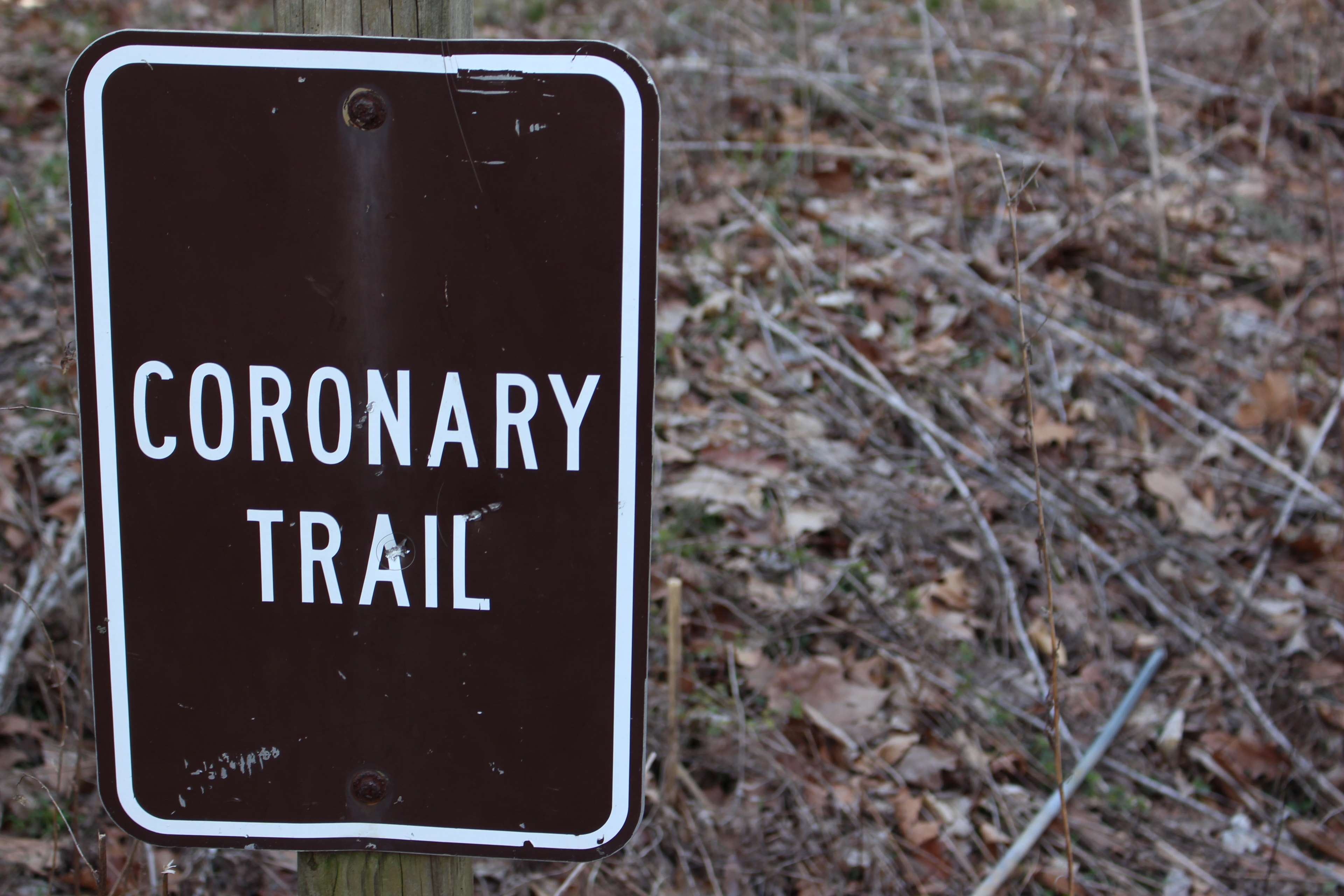 text, hill, device screen, script, western script, information, duff park, park, close-up, communication, no people, outdoors, capital letter, information sign, HD Wallpaper