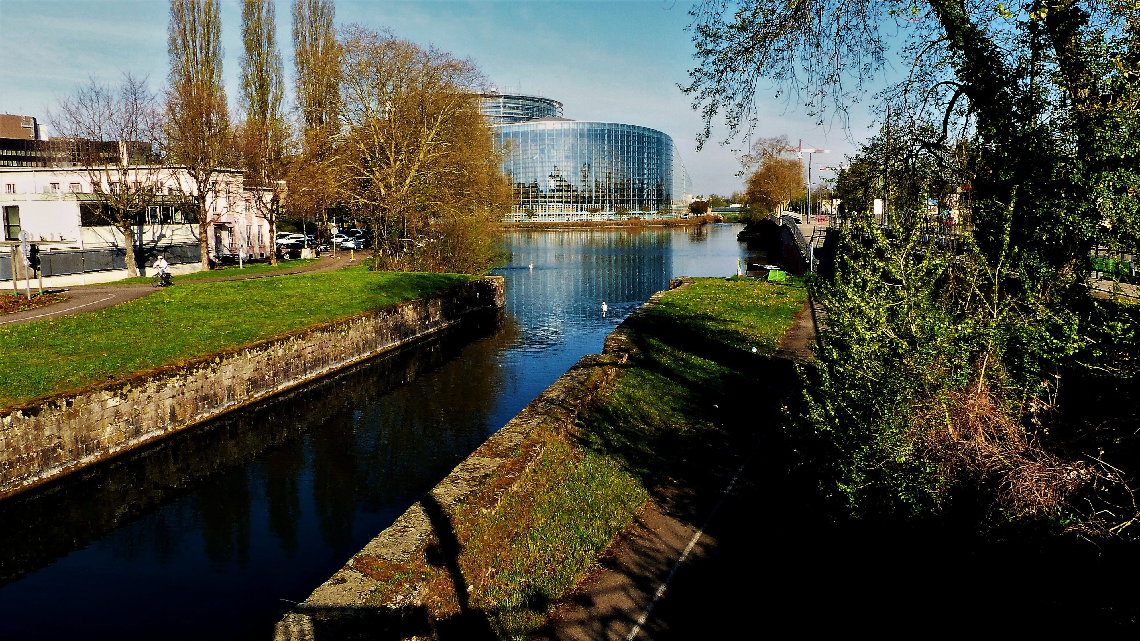 lake, built structure, council of europe, nature, body of water, day, city, plant, 4K, park, building exterior, building, reflection, residential district, HD Wallpaper