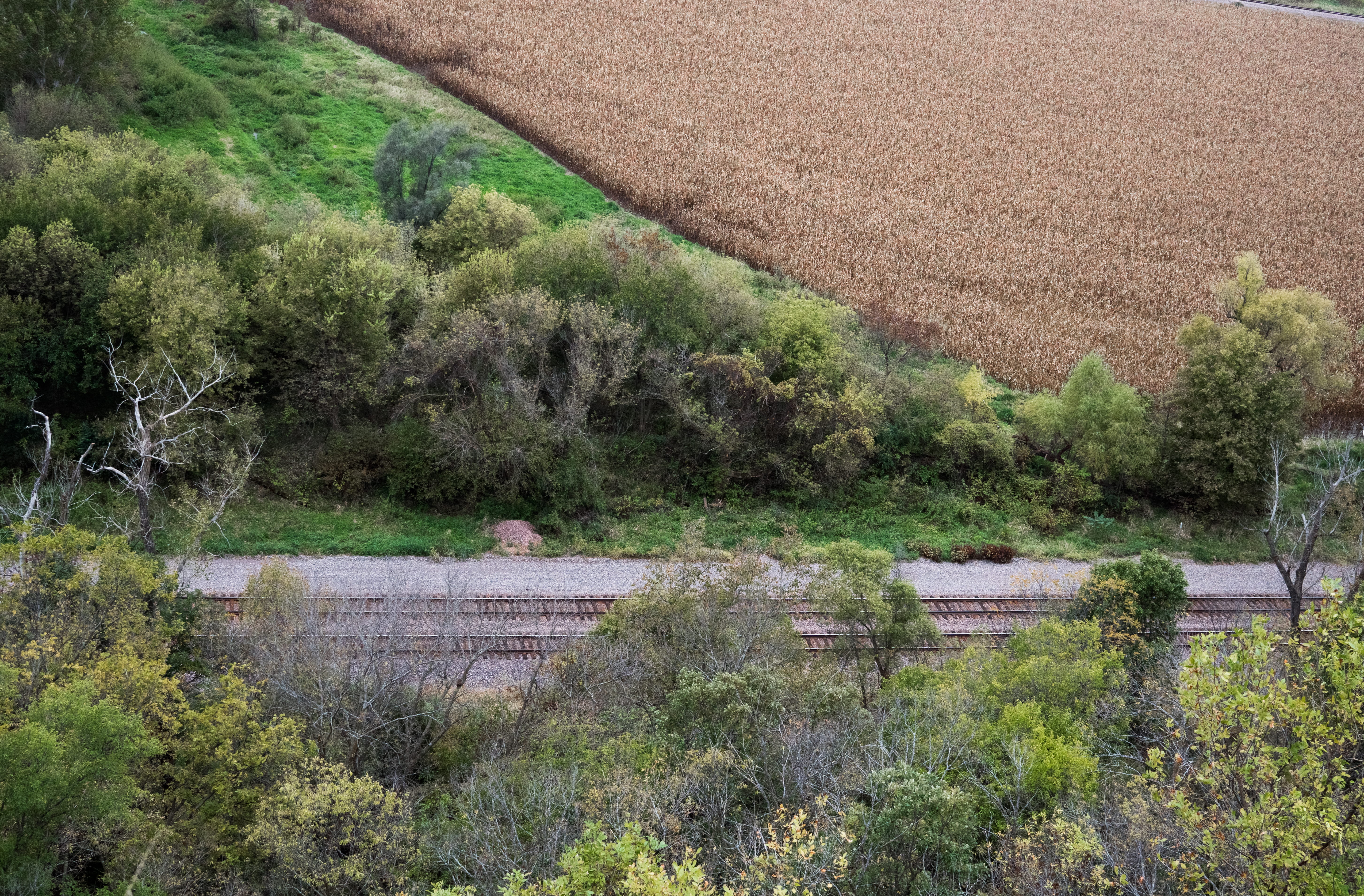 nature, united states, railroad, fall, water, plantation, field, lewis and clark park, harvest, green color, day, landscape, non-urban scene, farm, plant, HD Wallpaper
